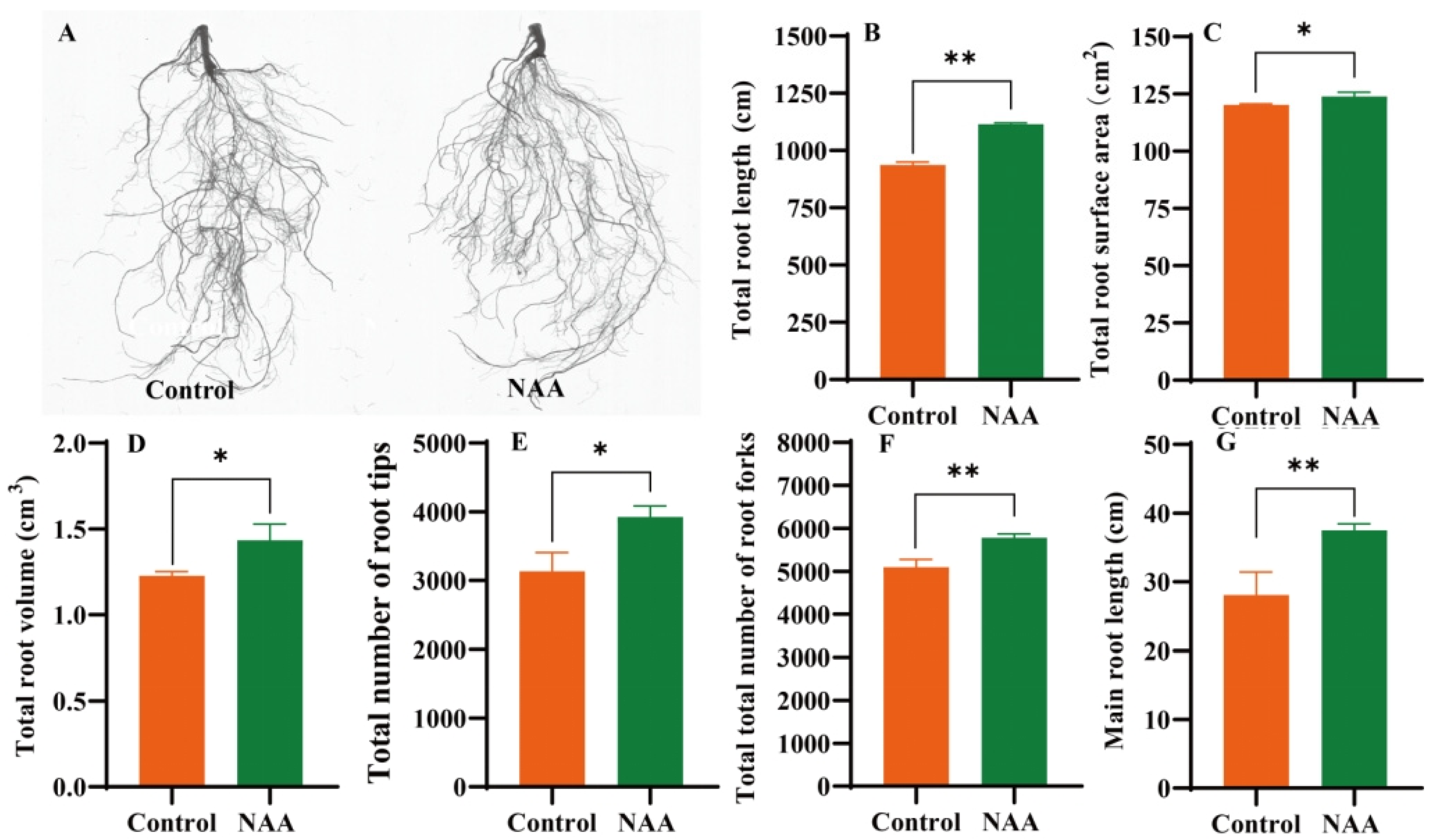 Horticulturae 11 00765 g006