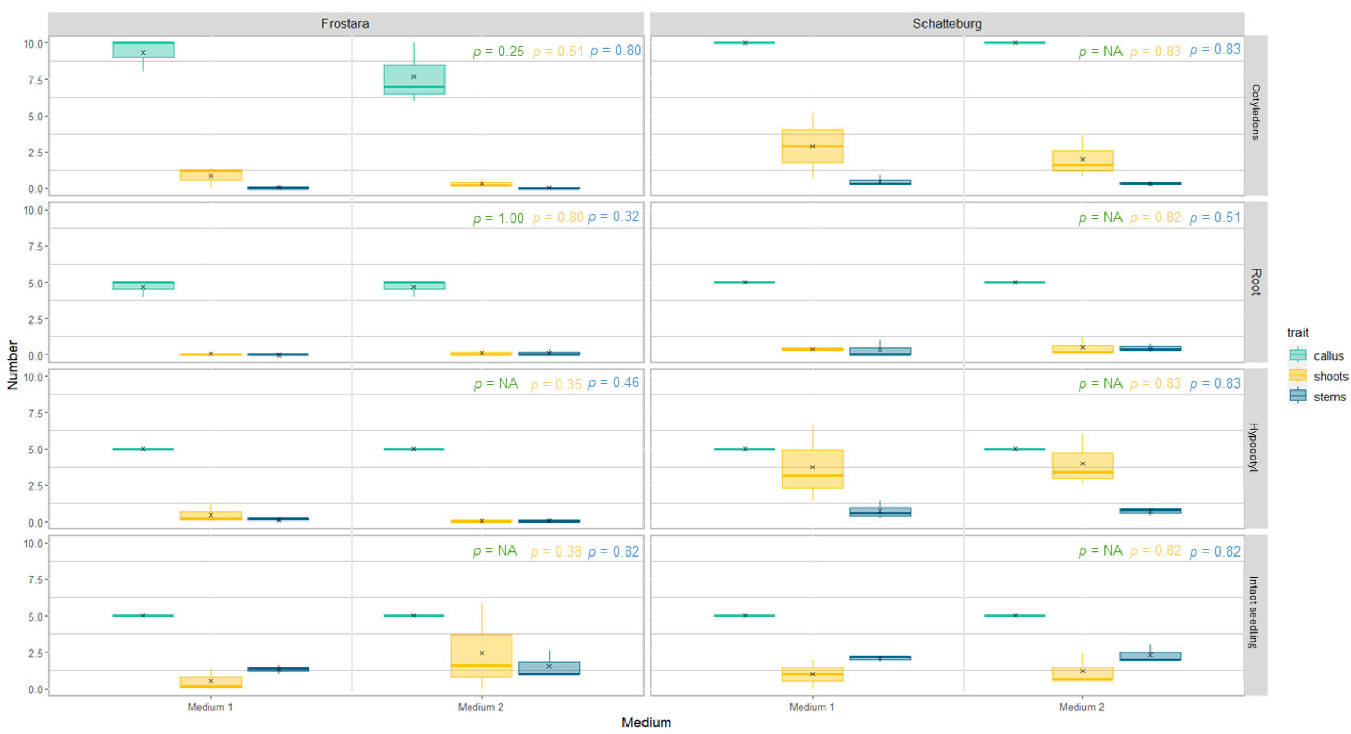 Horticulturae 11 00767 g007