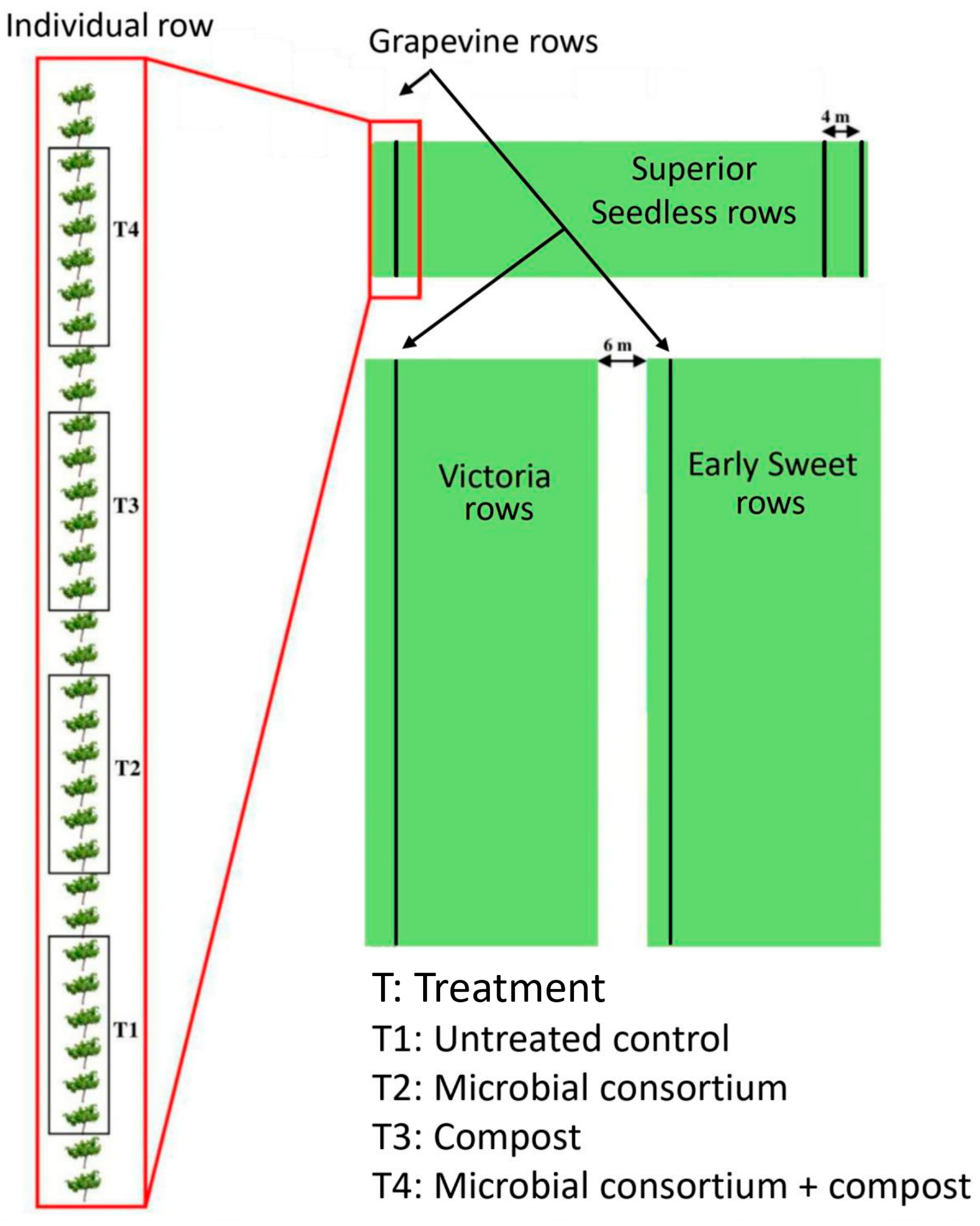 Horticulturae 11 00769 g001