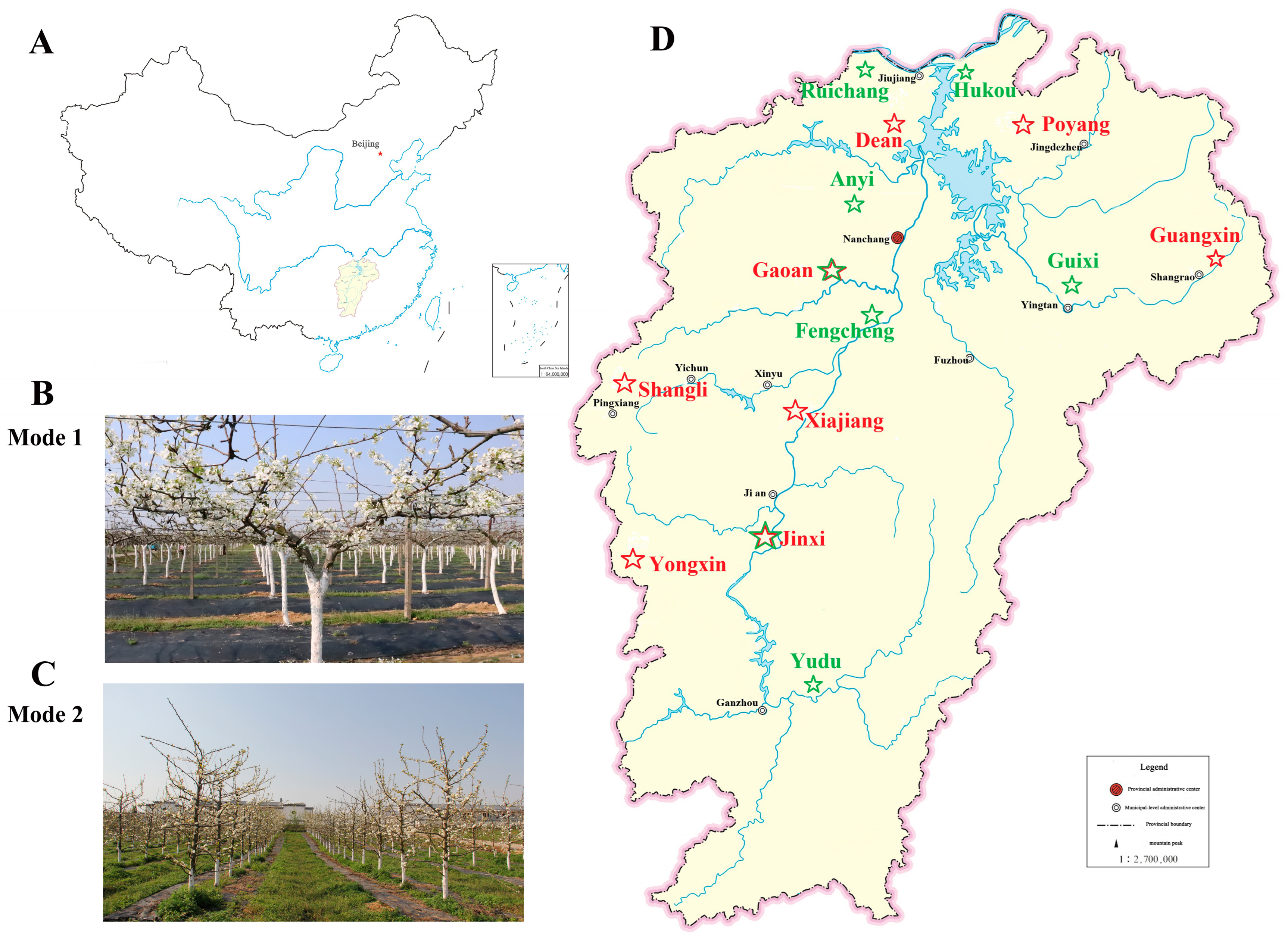 Recommendations for Planting Sites and Cultivation Modes