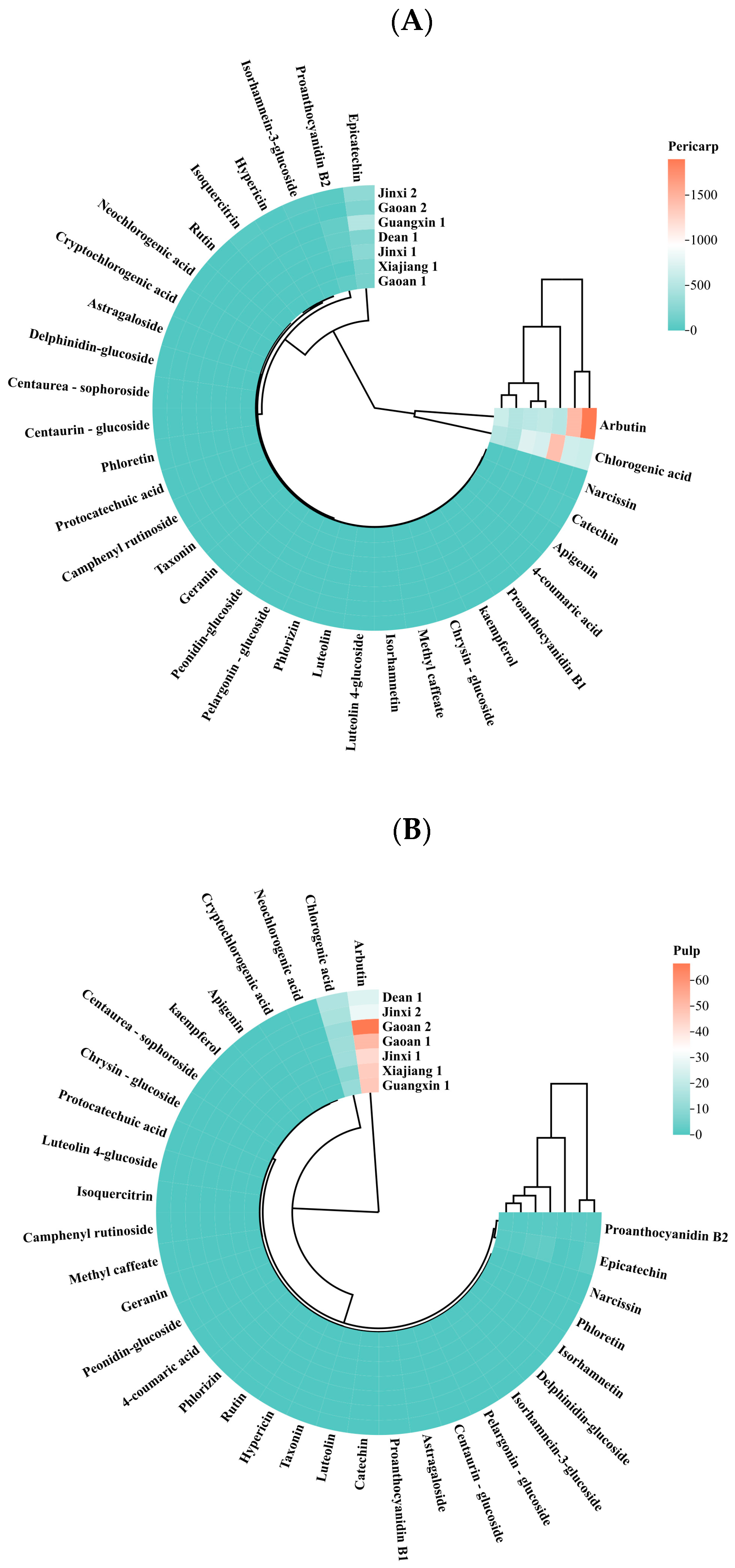 Horticulturae 11 00771 g002
