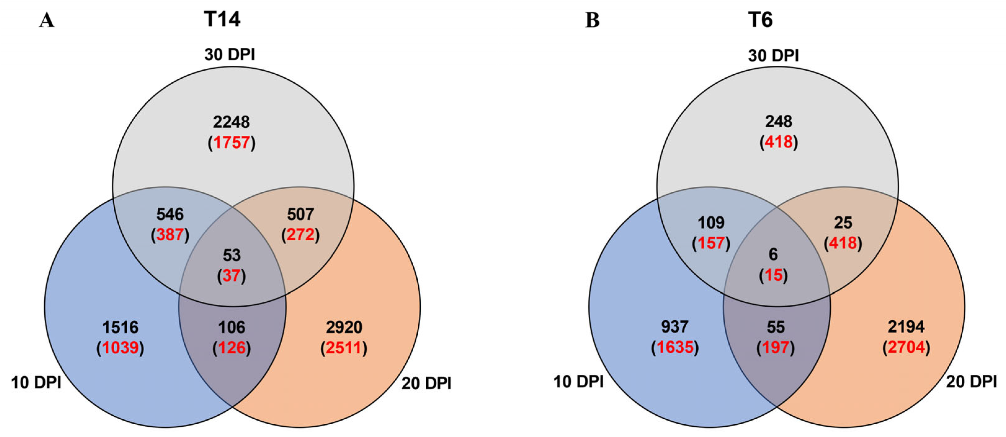 Horticulturae 11 00777 g003
