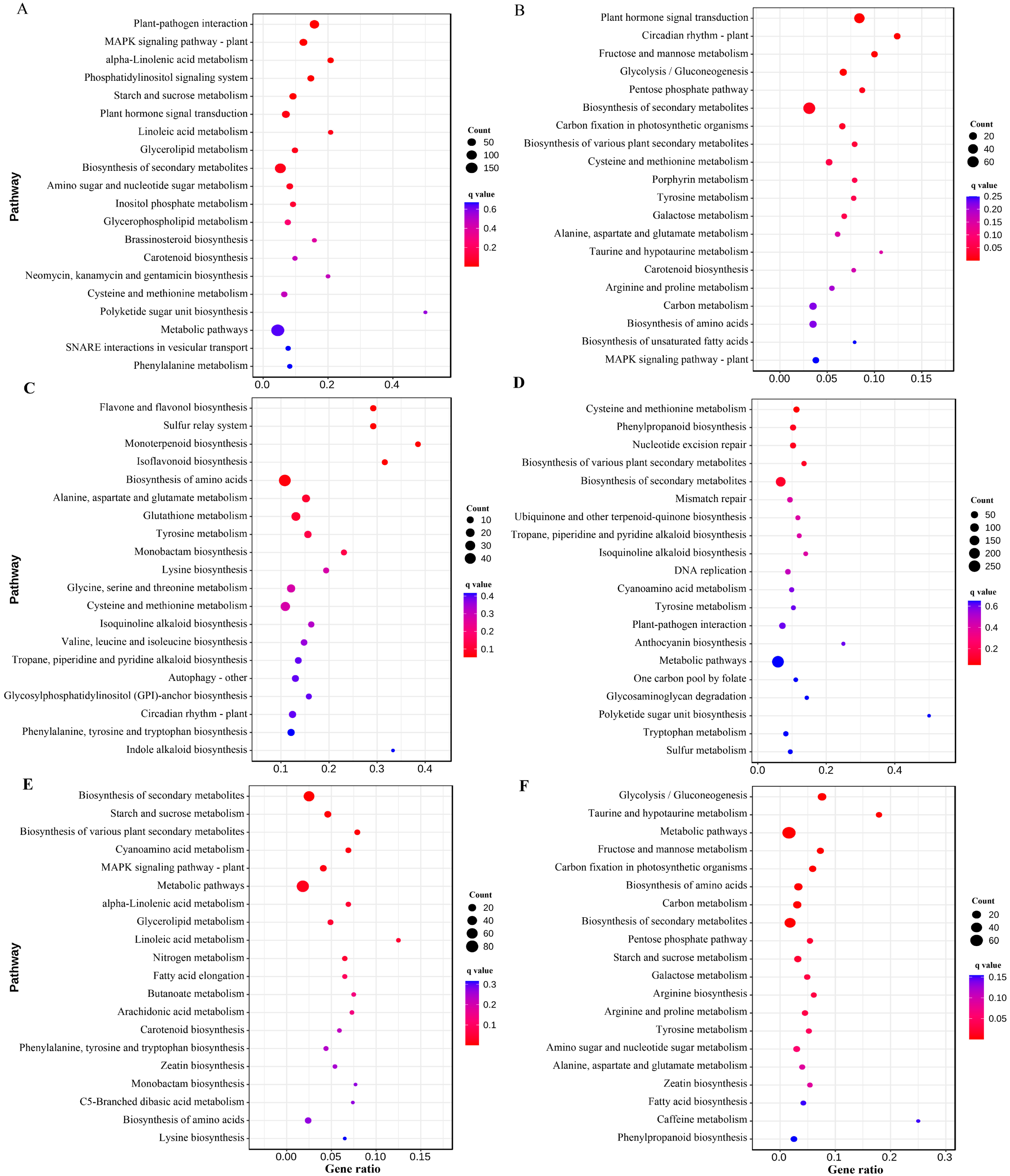 Horticulturae 11 00777 g004