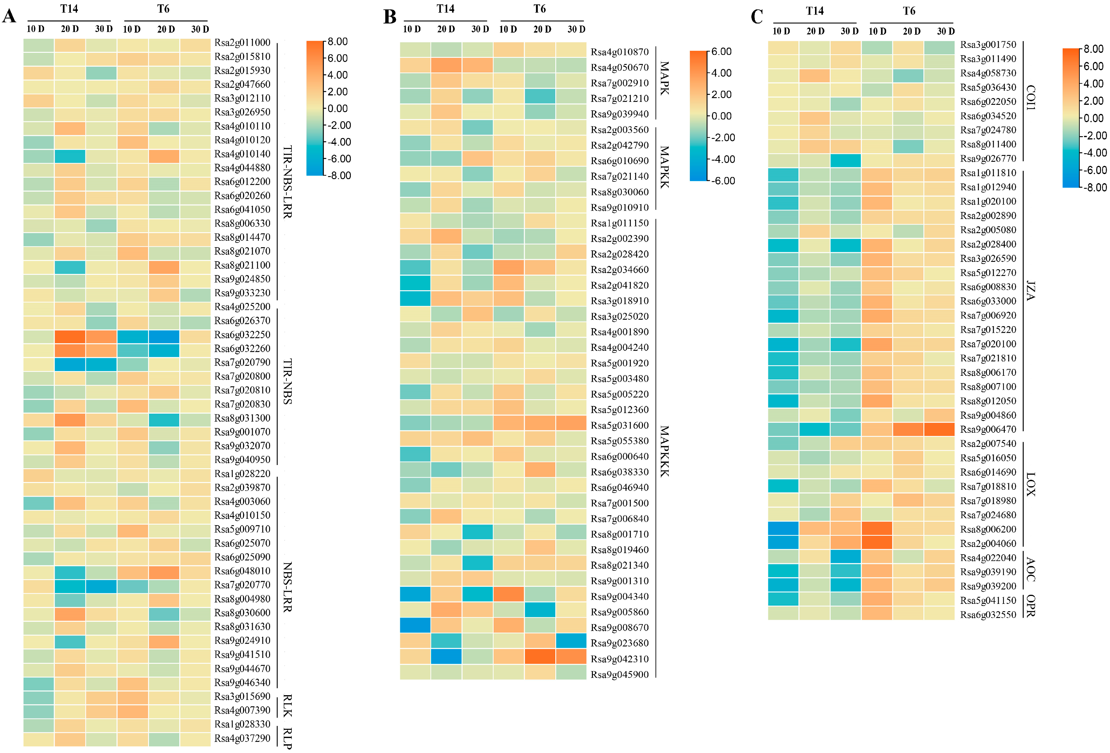 Horticulturae 11 00777 g006