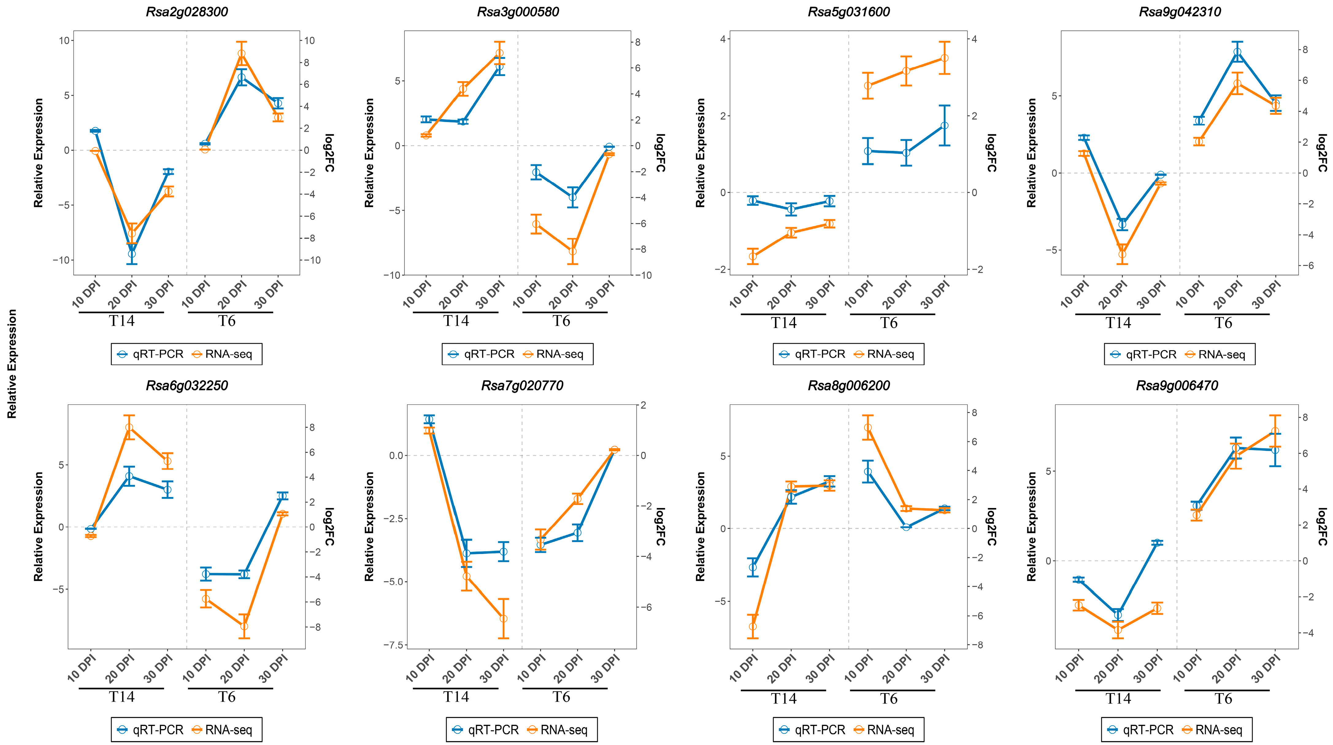 Horticulturae 11 00777 g008