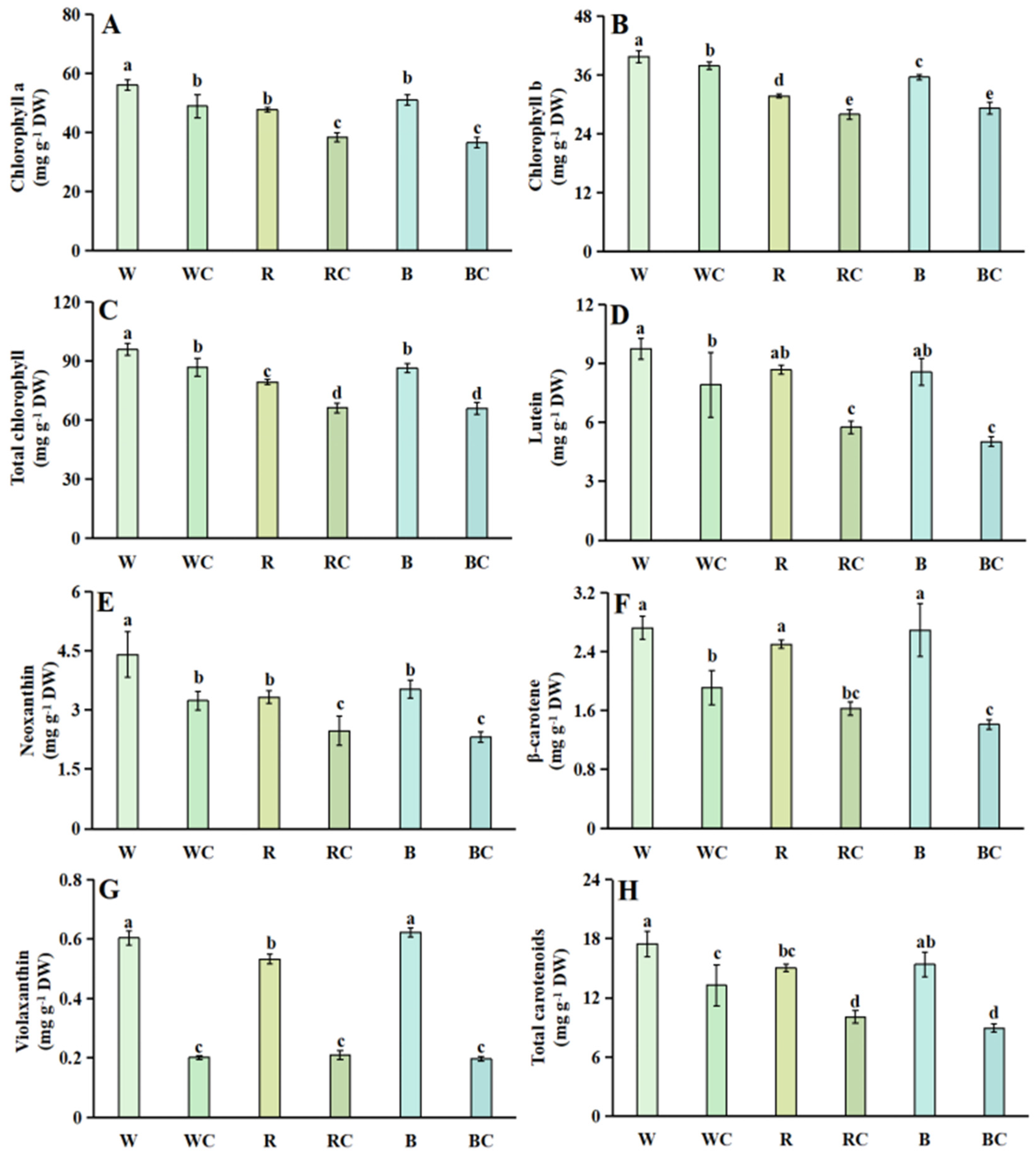 Horticulturae 11 00780 g002