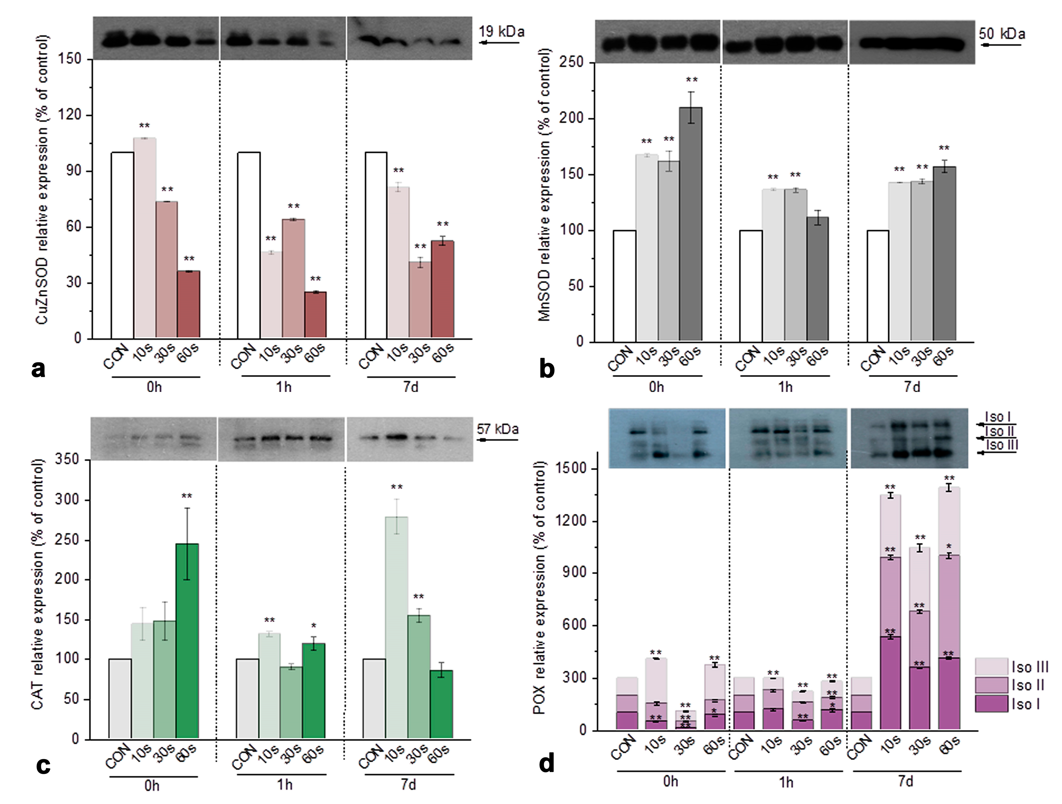 Horticulturae 11 00781 g007