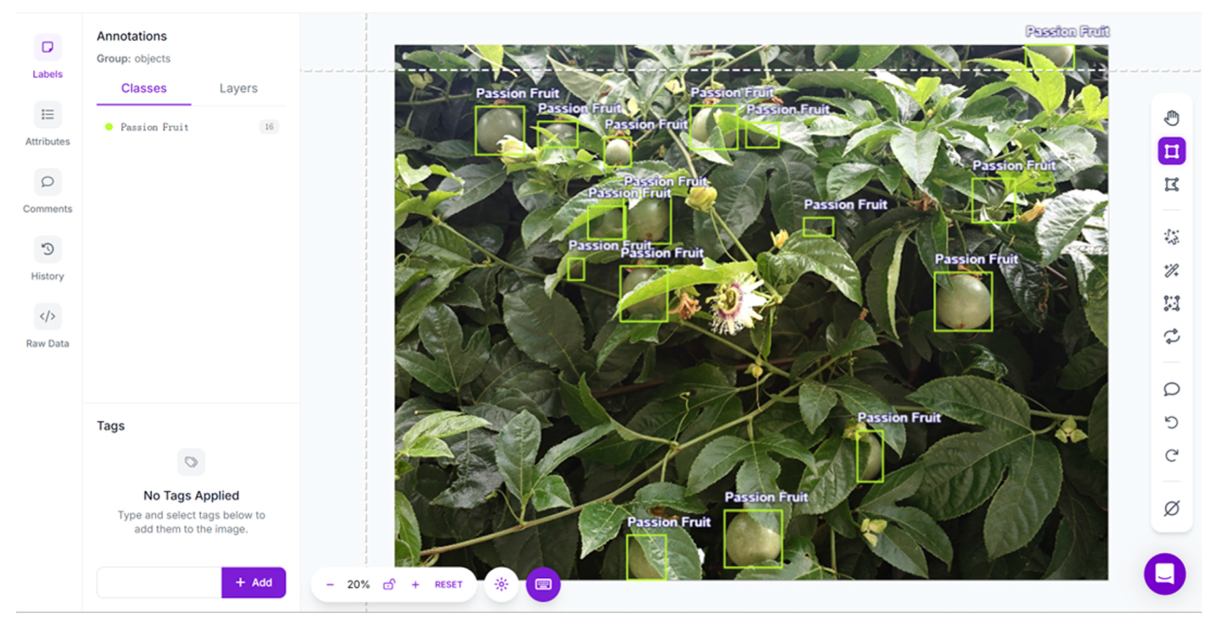 Horticulturae 11 00785 g003