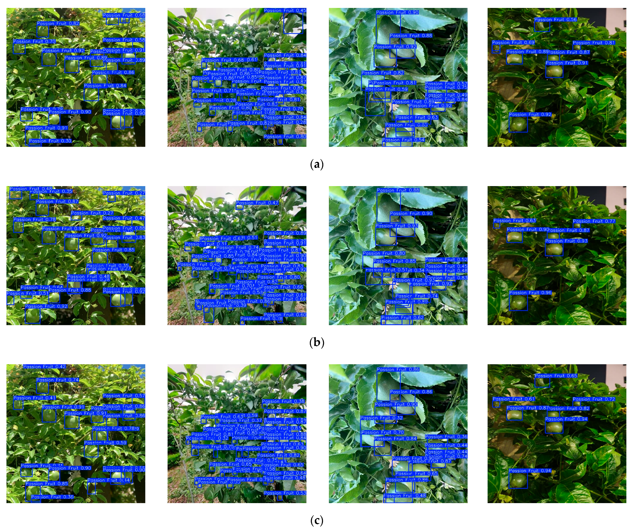 Horticulturae 11 00785 g010a