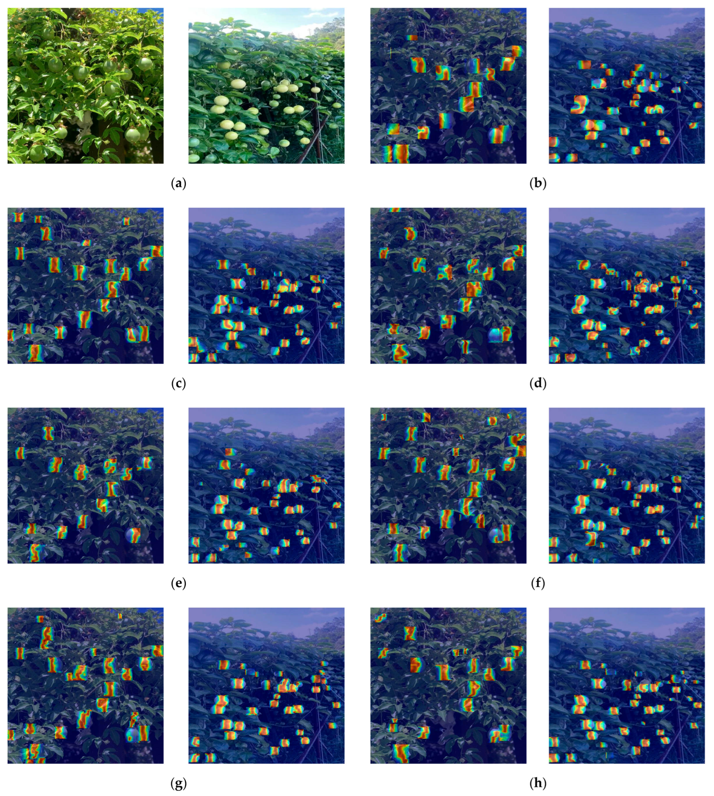 Horticulturae 11 00785 g011