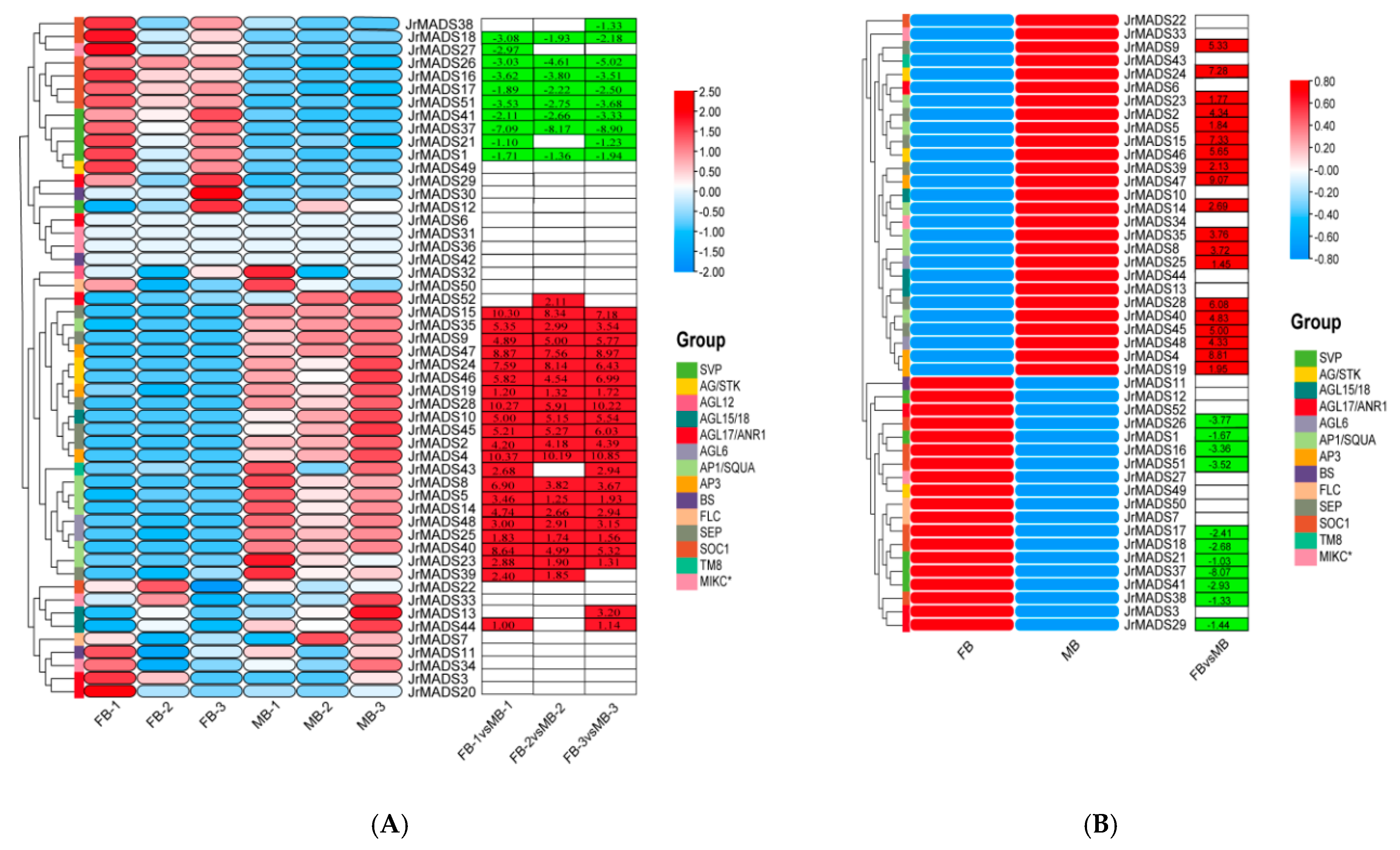 Horticulturae 11 00787 g007