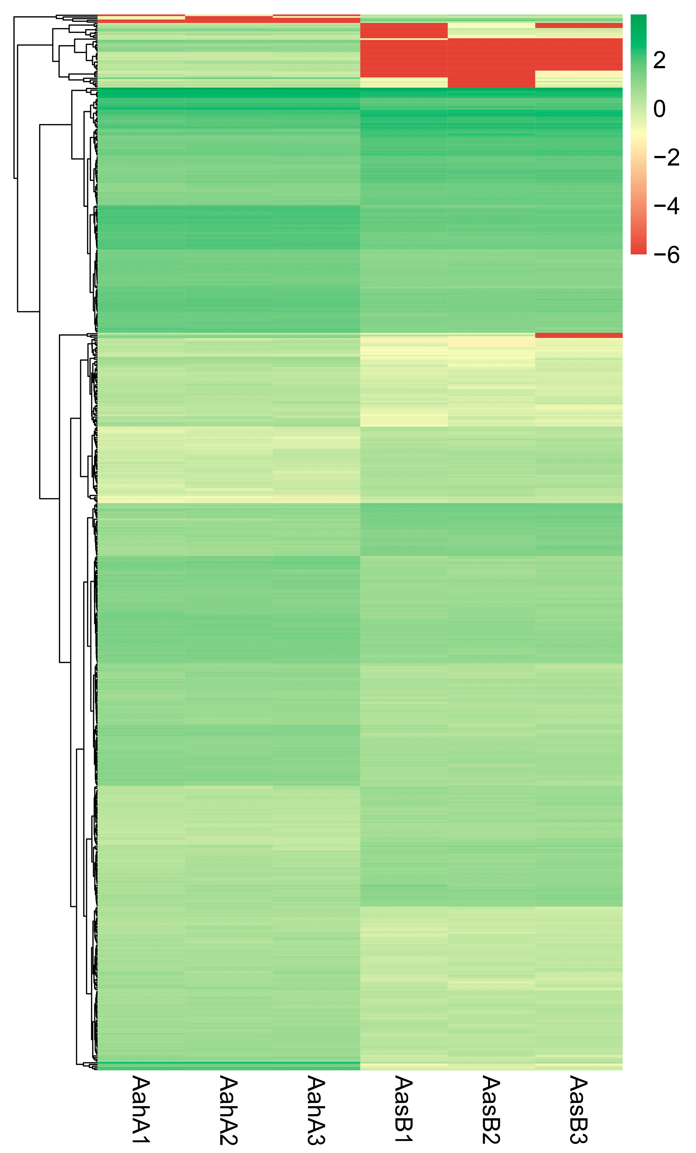 Horticulturae 11 00790 g004