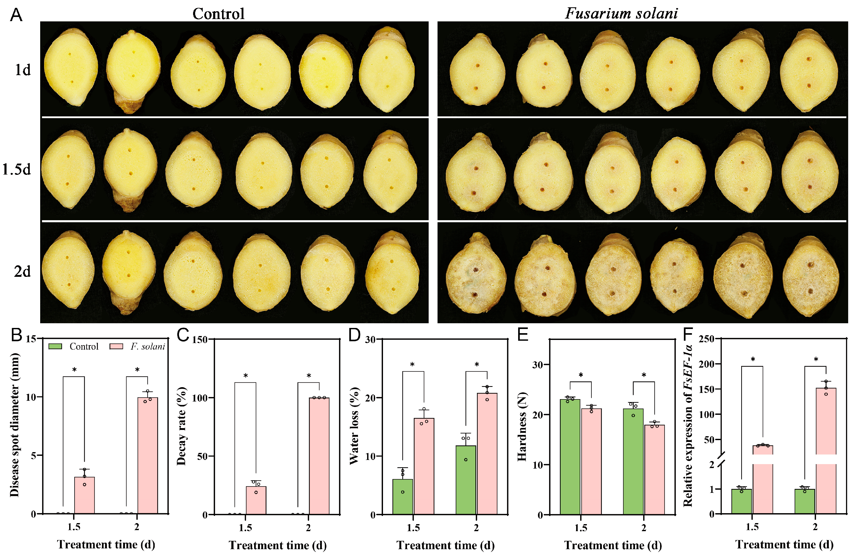 Horticulturae 11 00791 g001