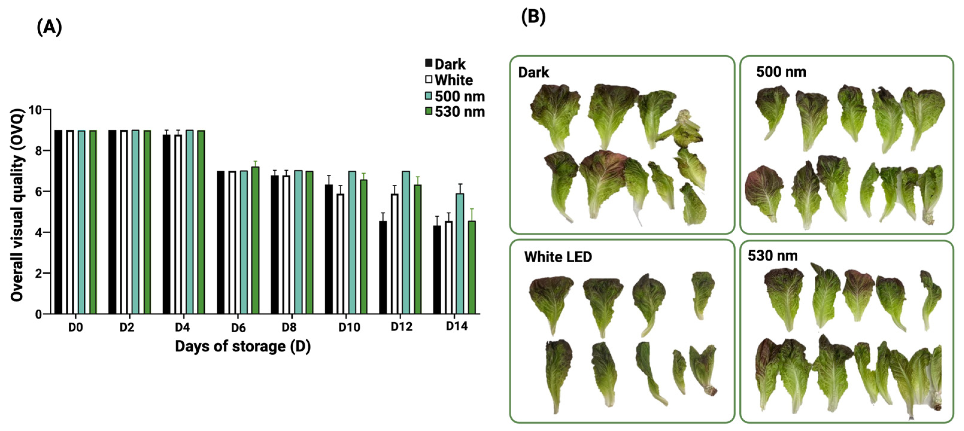 Horticulturae 11 00792 g004 Horticulturae 11 00792 g004
