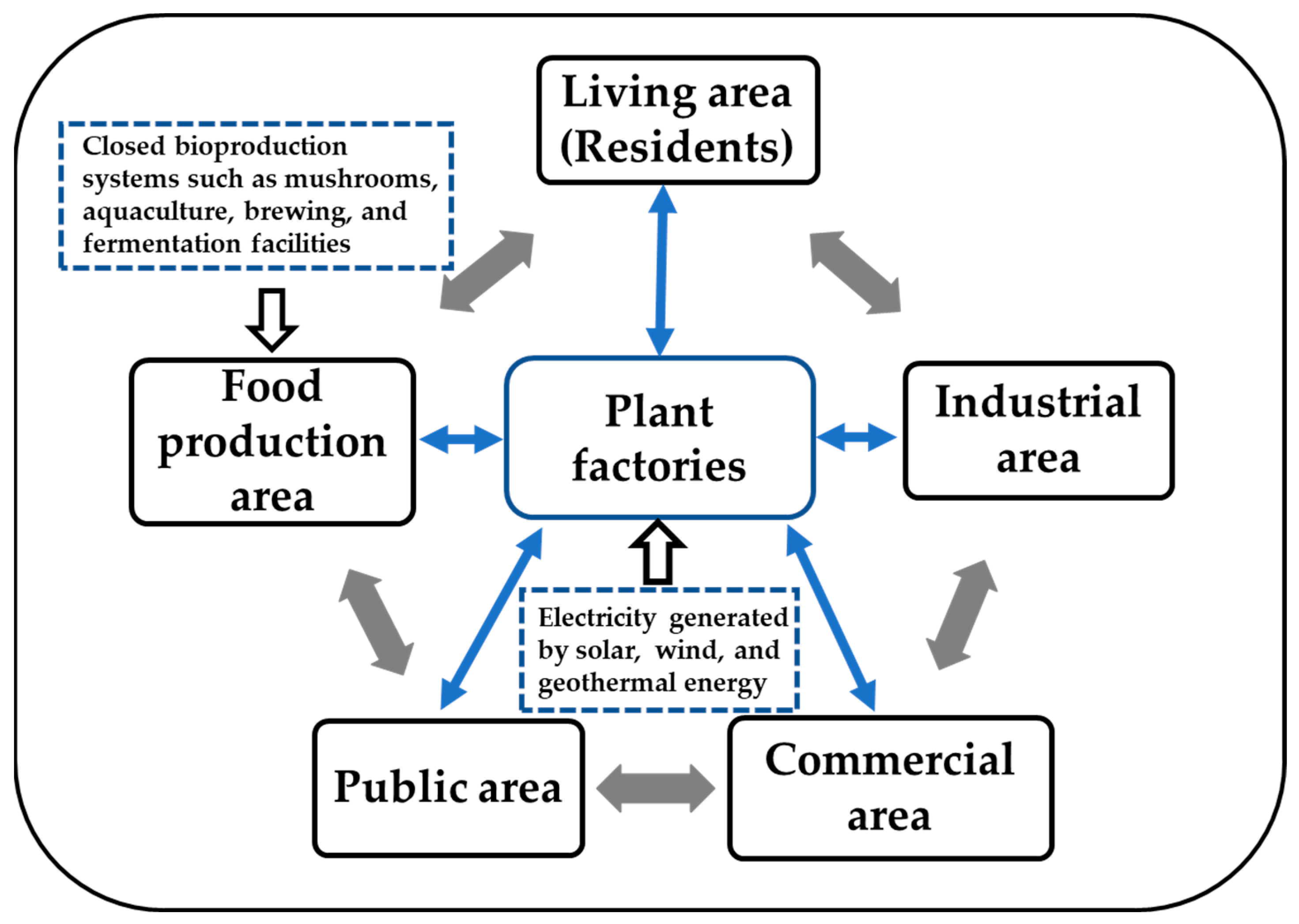 Horticulturae 11 00793 g003