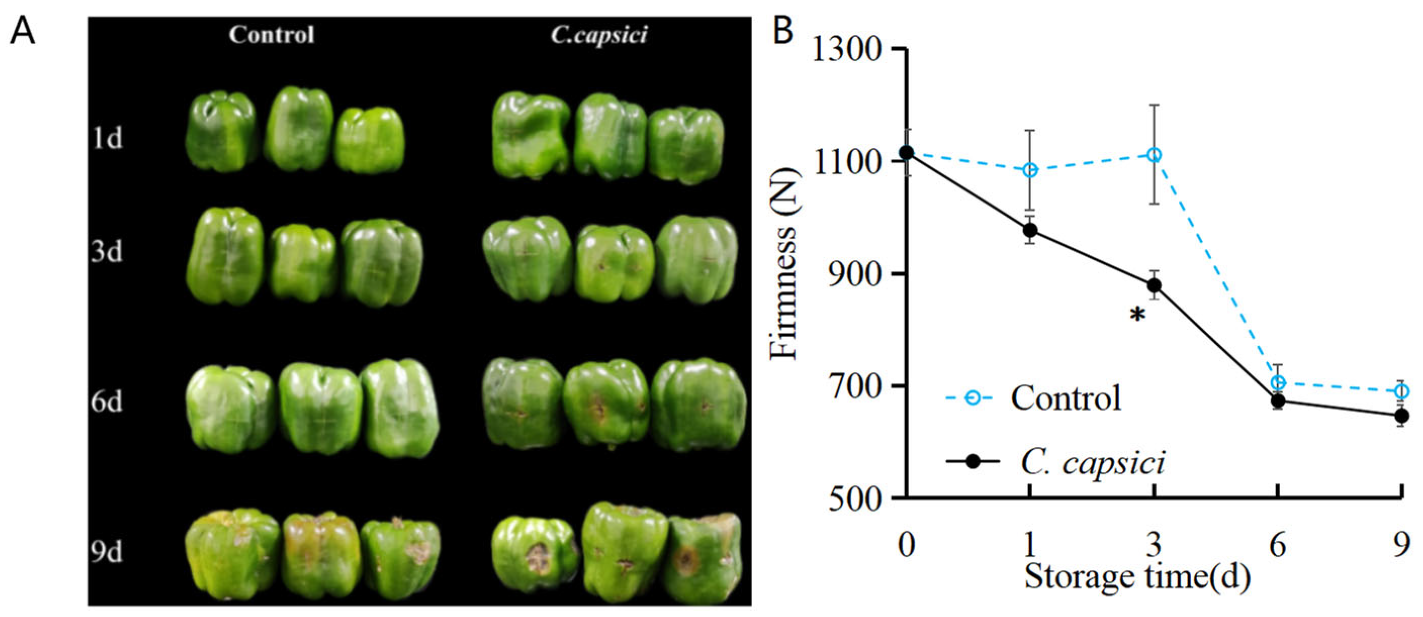 Horticulturae 11 00794 g001