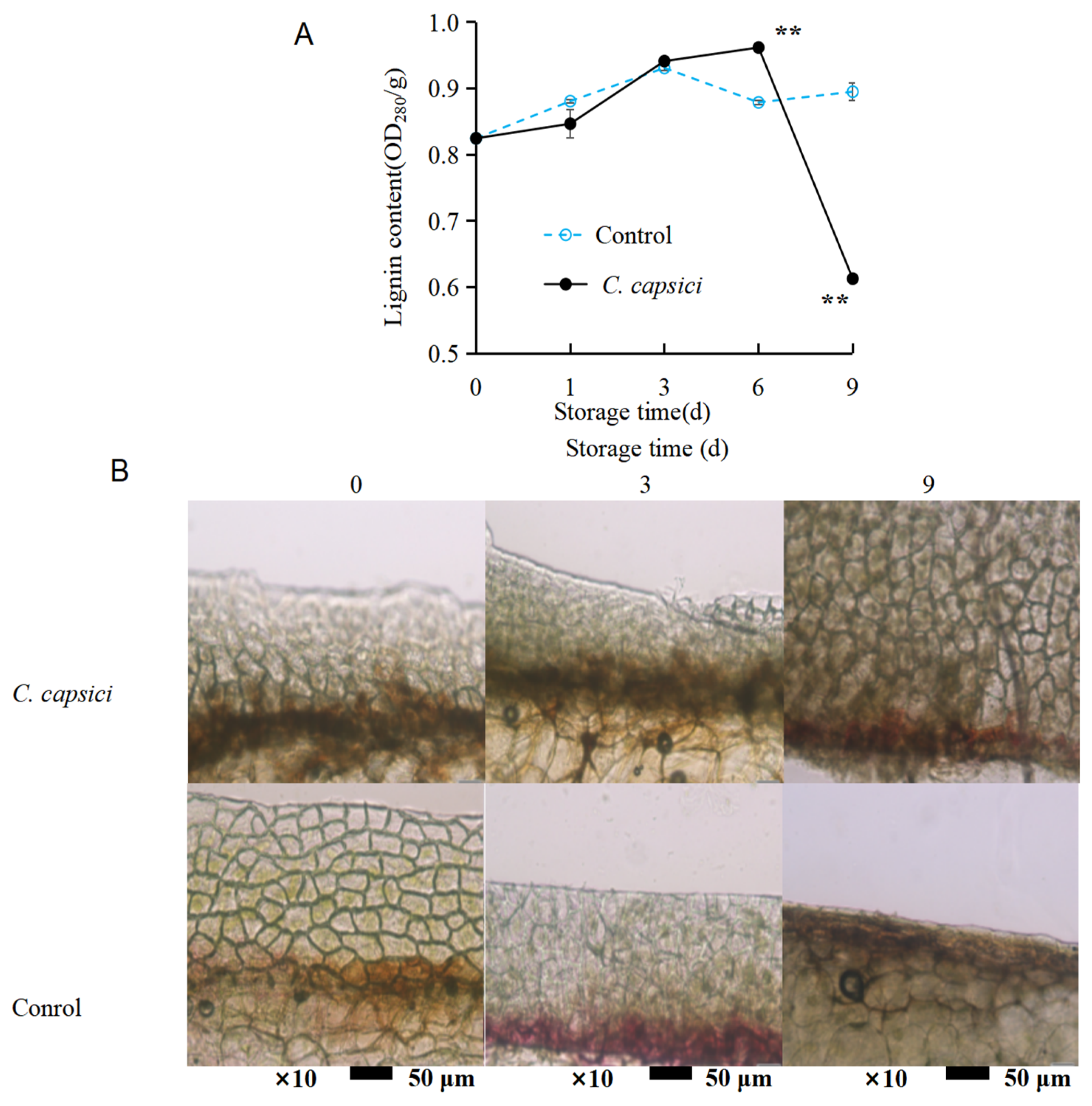 Horticulturae 11 00794 g005
