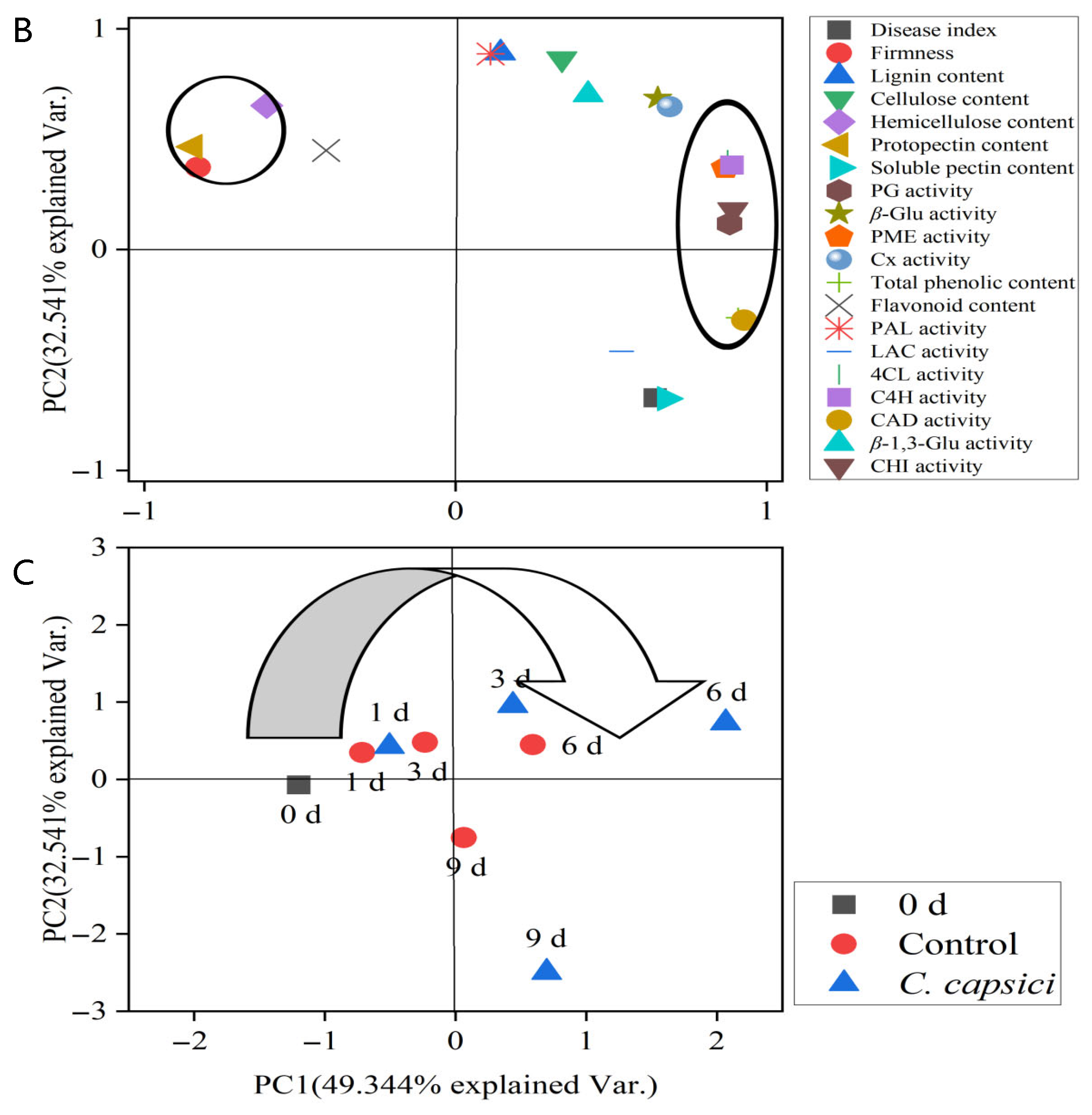 Horticulturae 11 00794 g008b