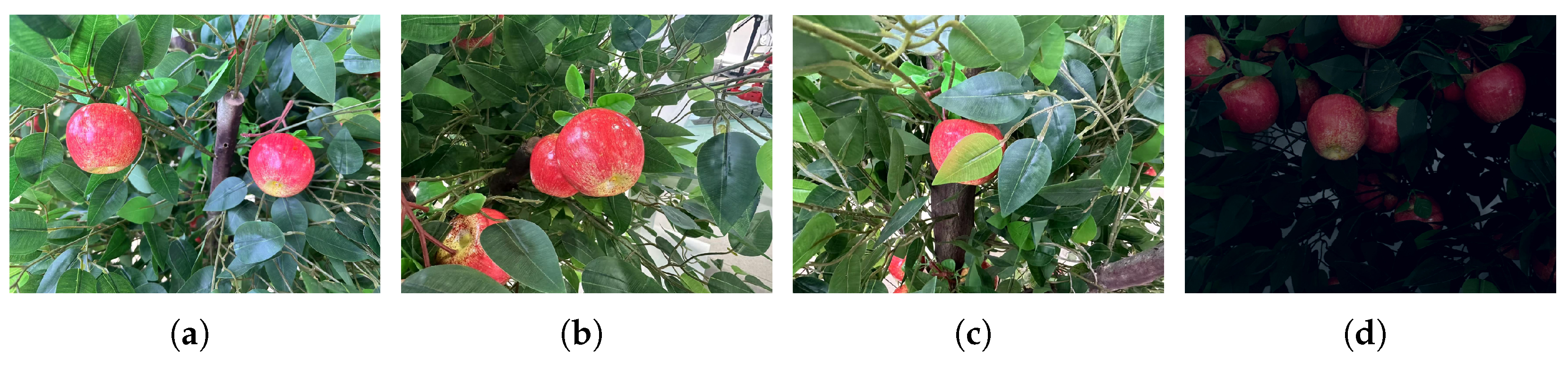 Horticulturae 11 00801 g002