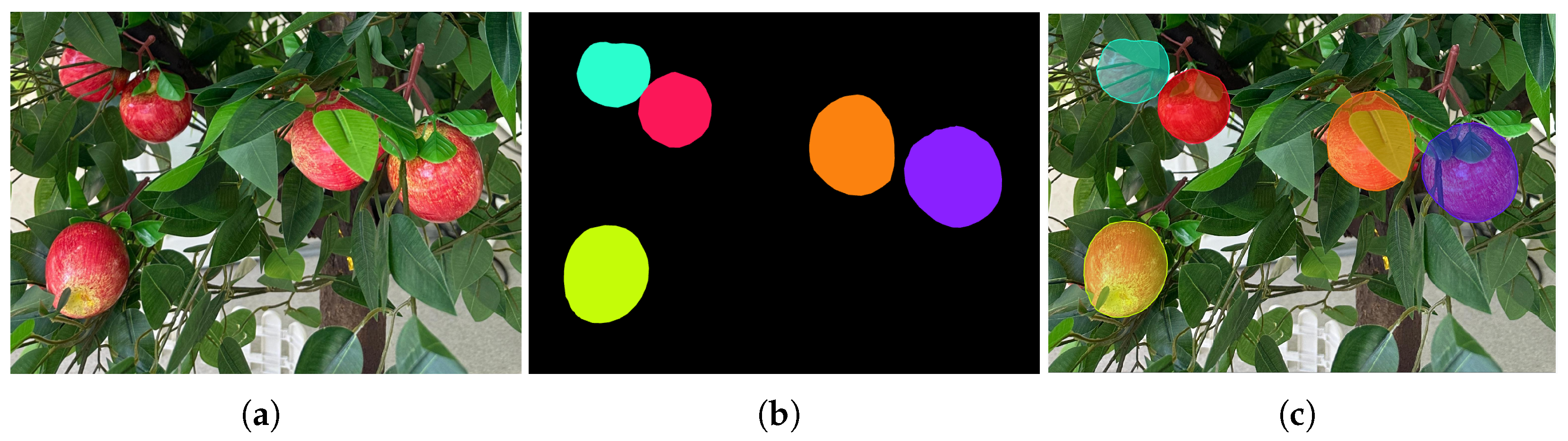 Horticulturae 11 00801 g003