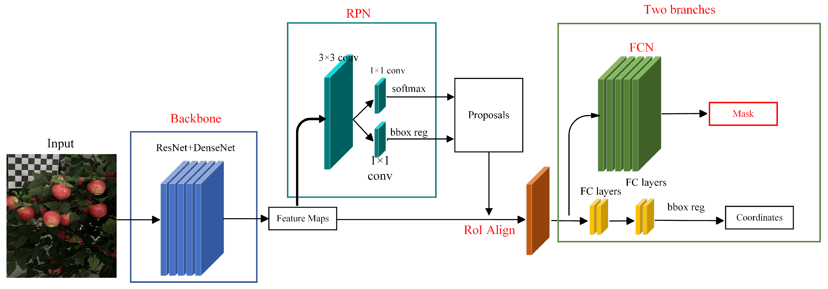 Horticulturae 11 00801 g004