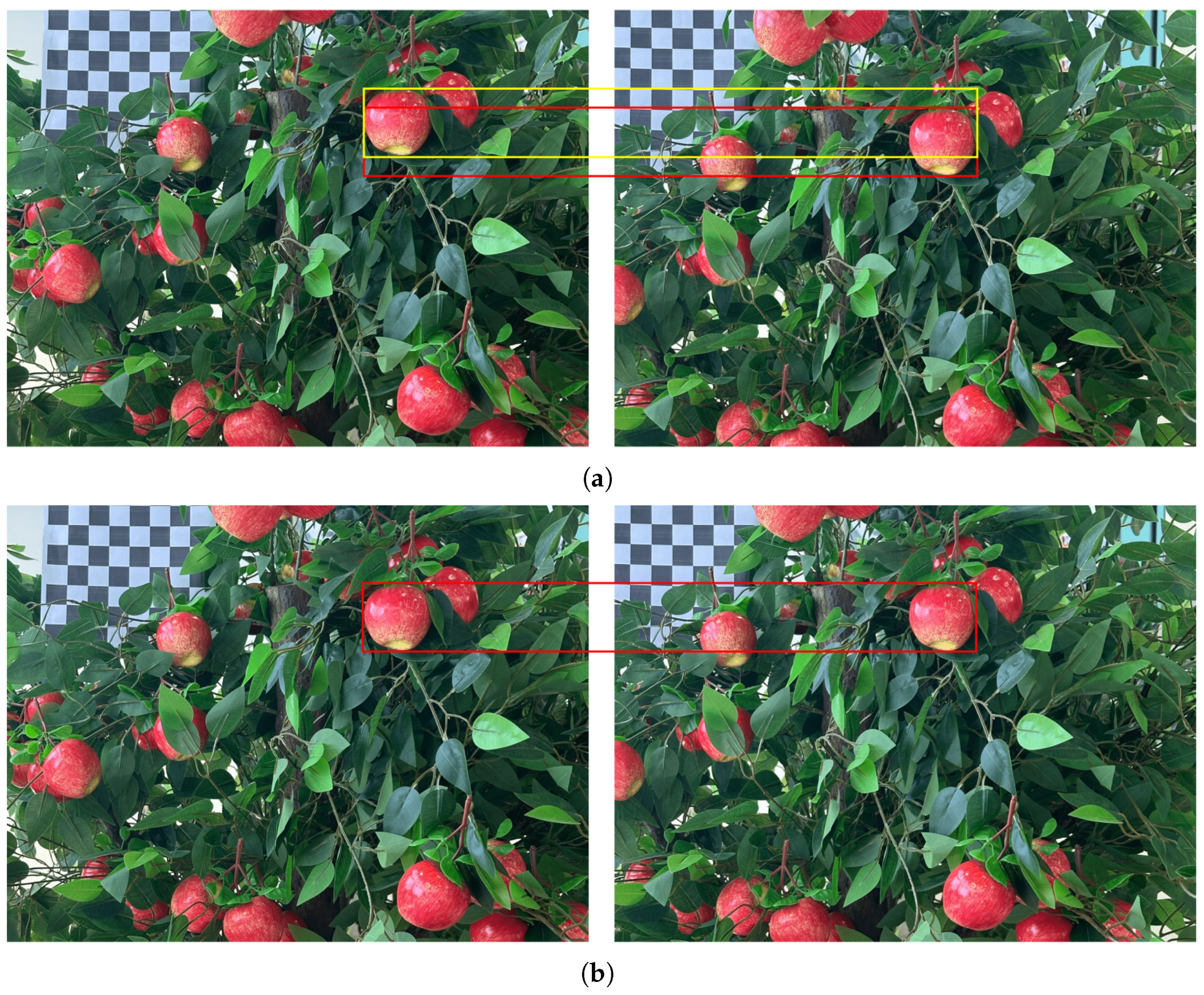 Horticulturae 11 00801 g006