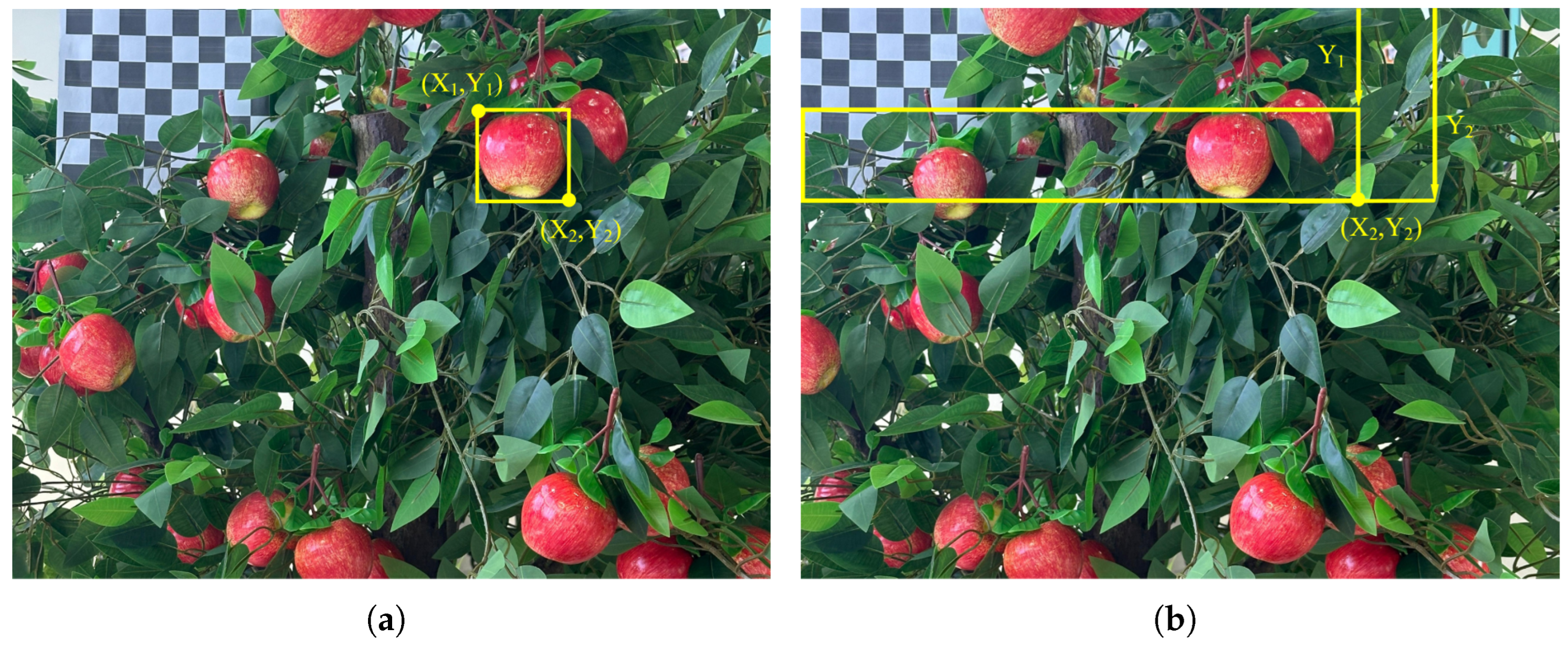 Horticulturae 11 00801 g008