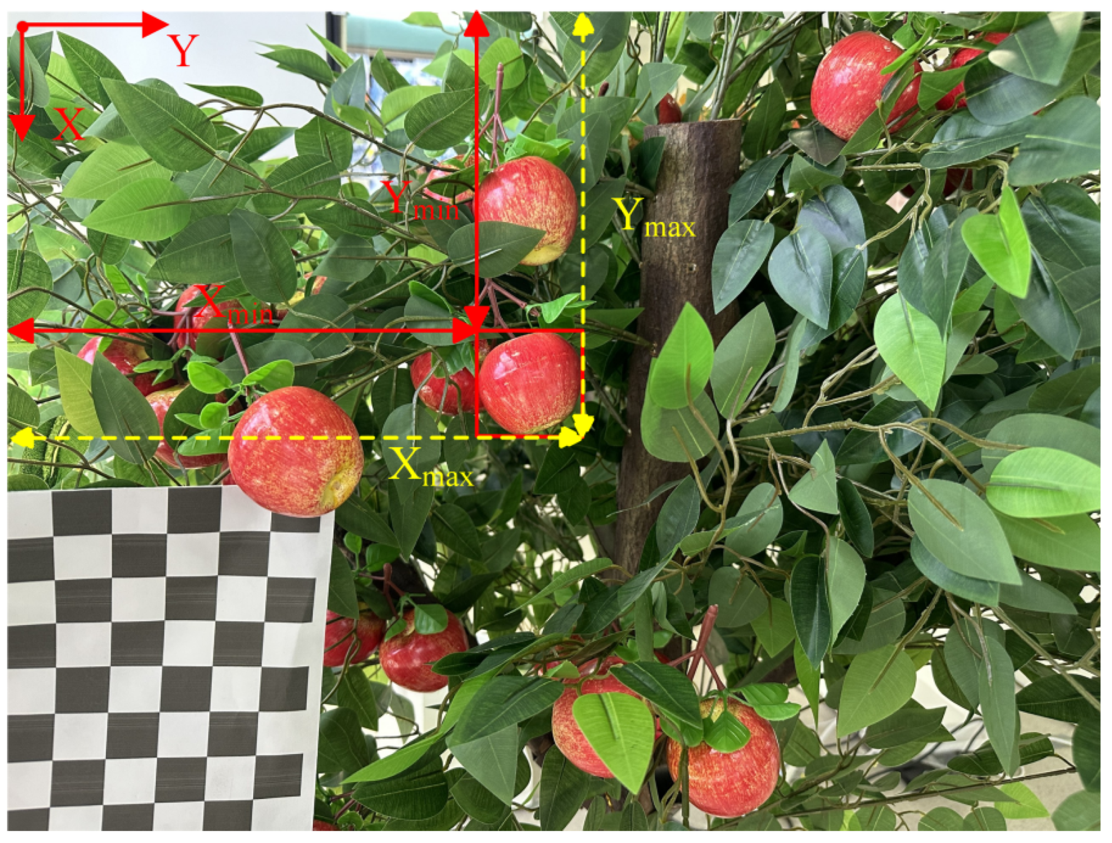 Horticulturae 11 00801 g009