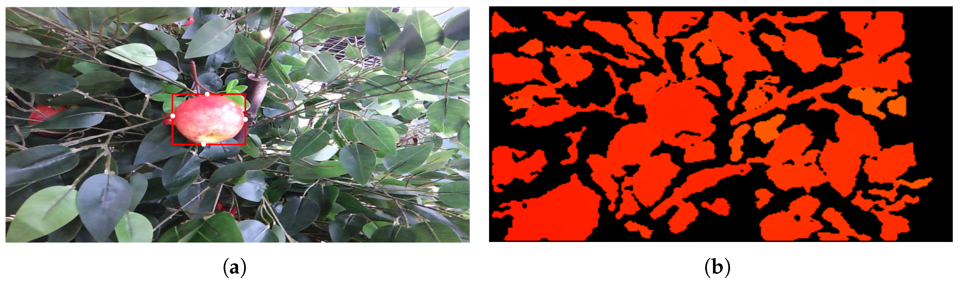 Horticulturae 11 00801 g010