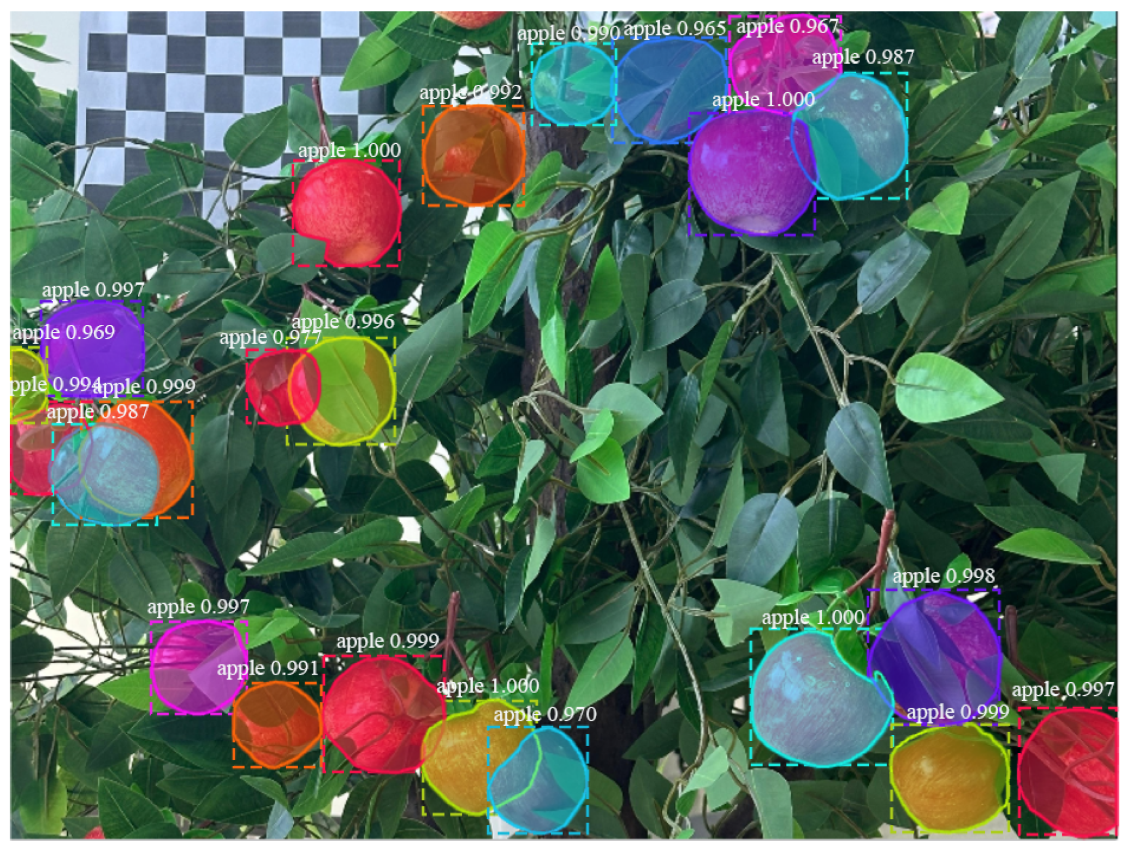 Horticulturae 11 00801 g013