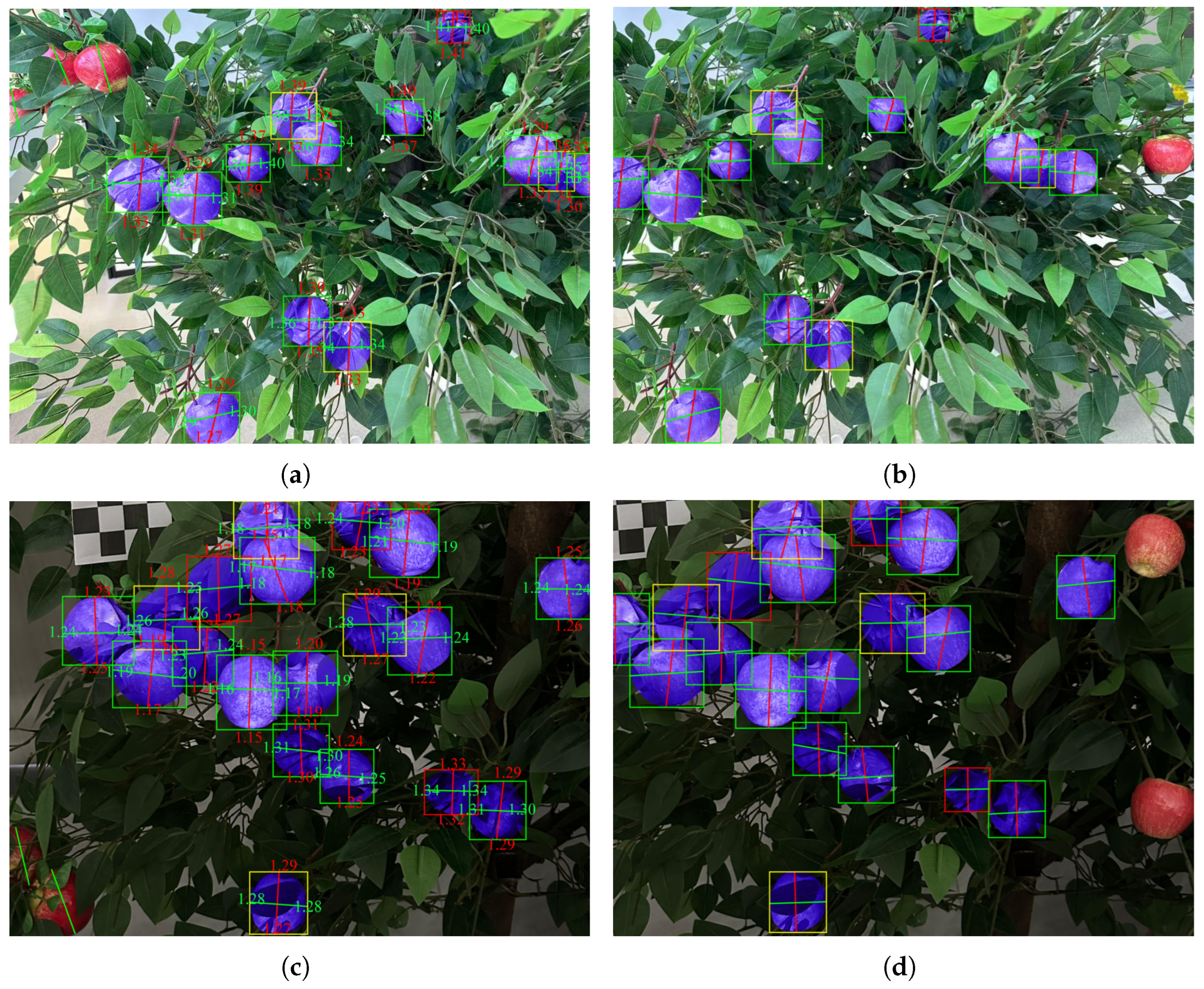 Horticulturae 11 00801 g014