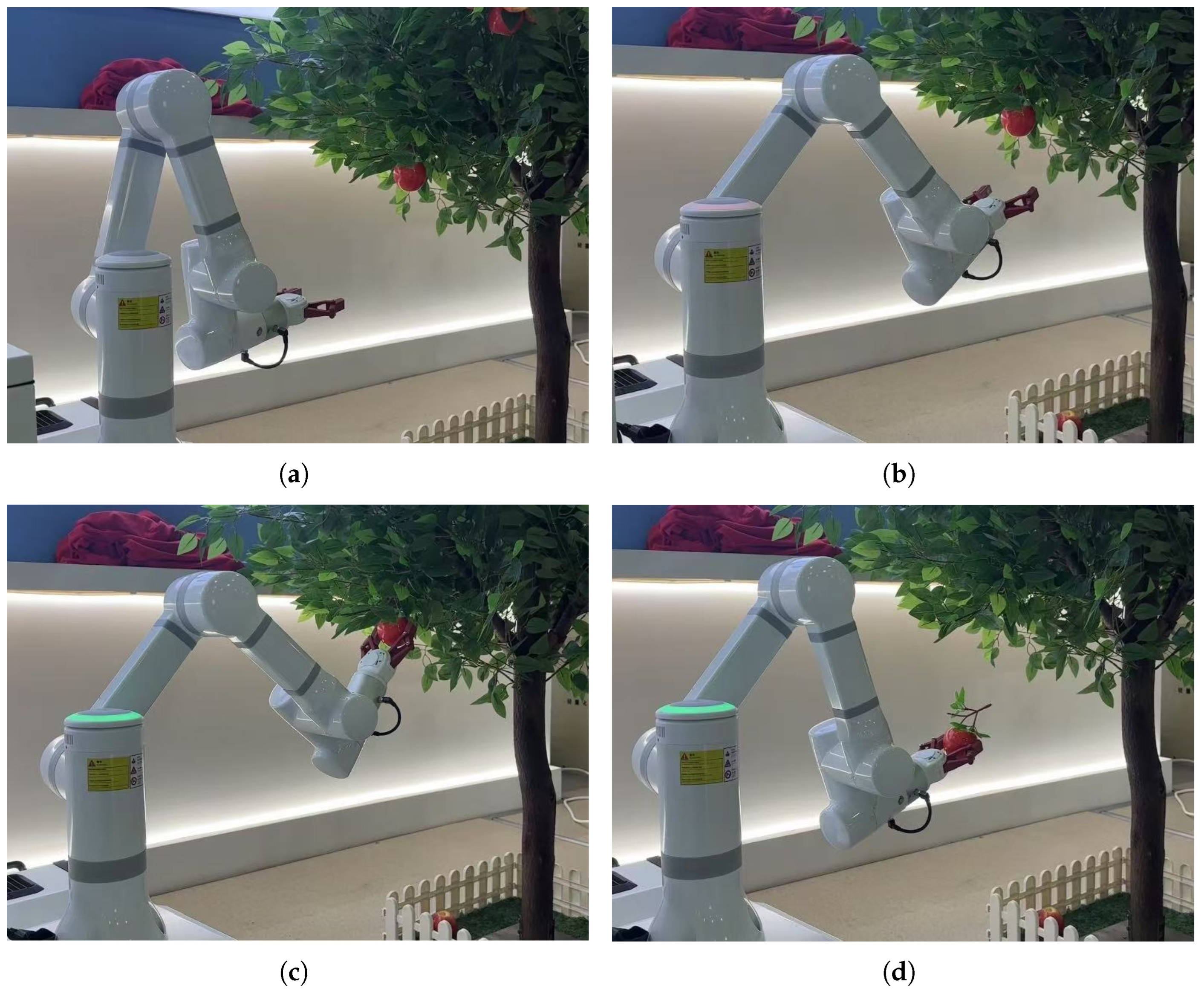 Horticulturae 11 00801 g016