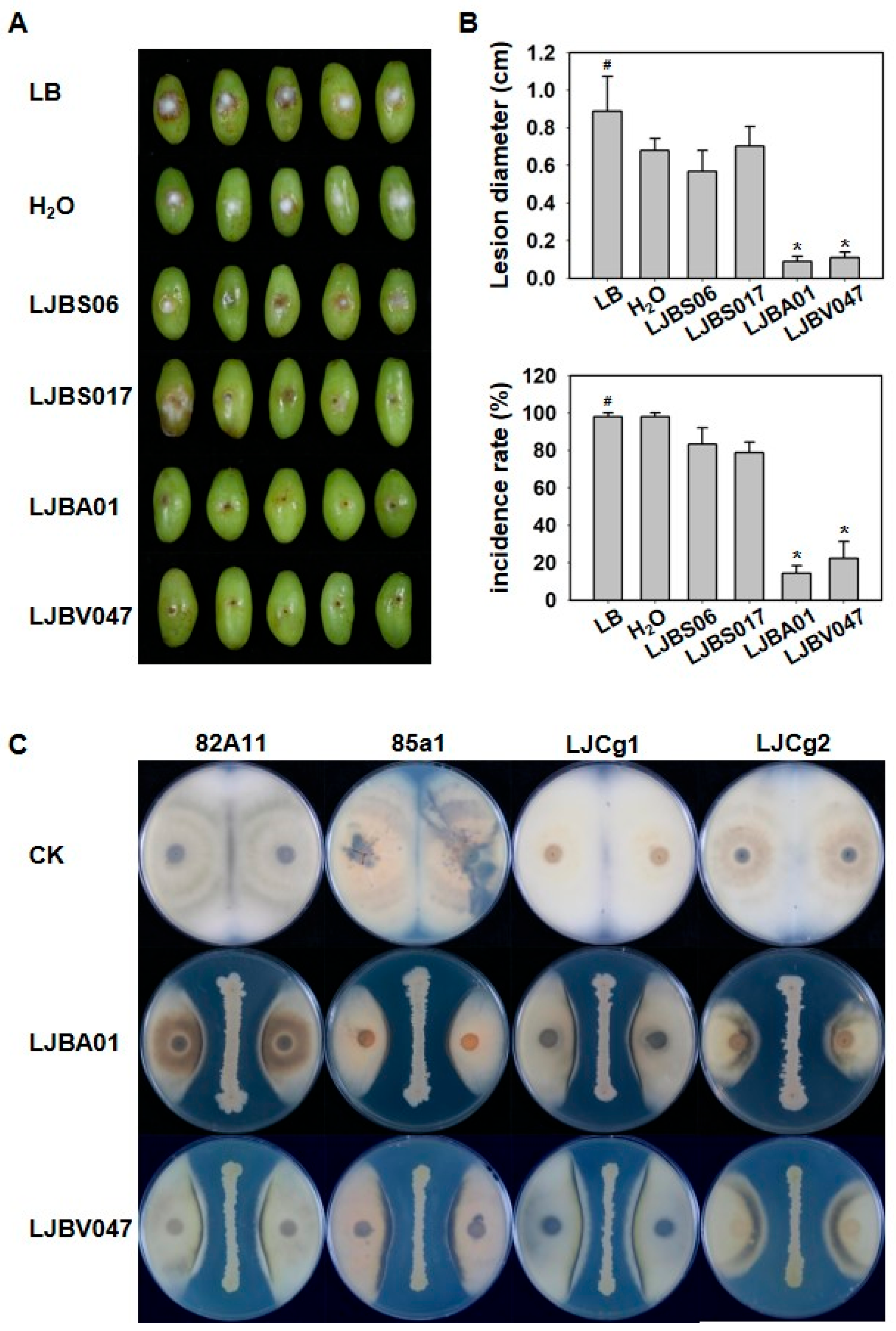 Horticulturae 11 00802 g002