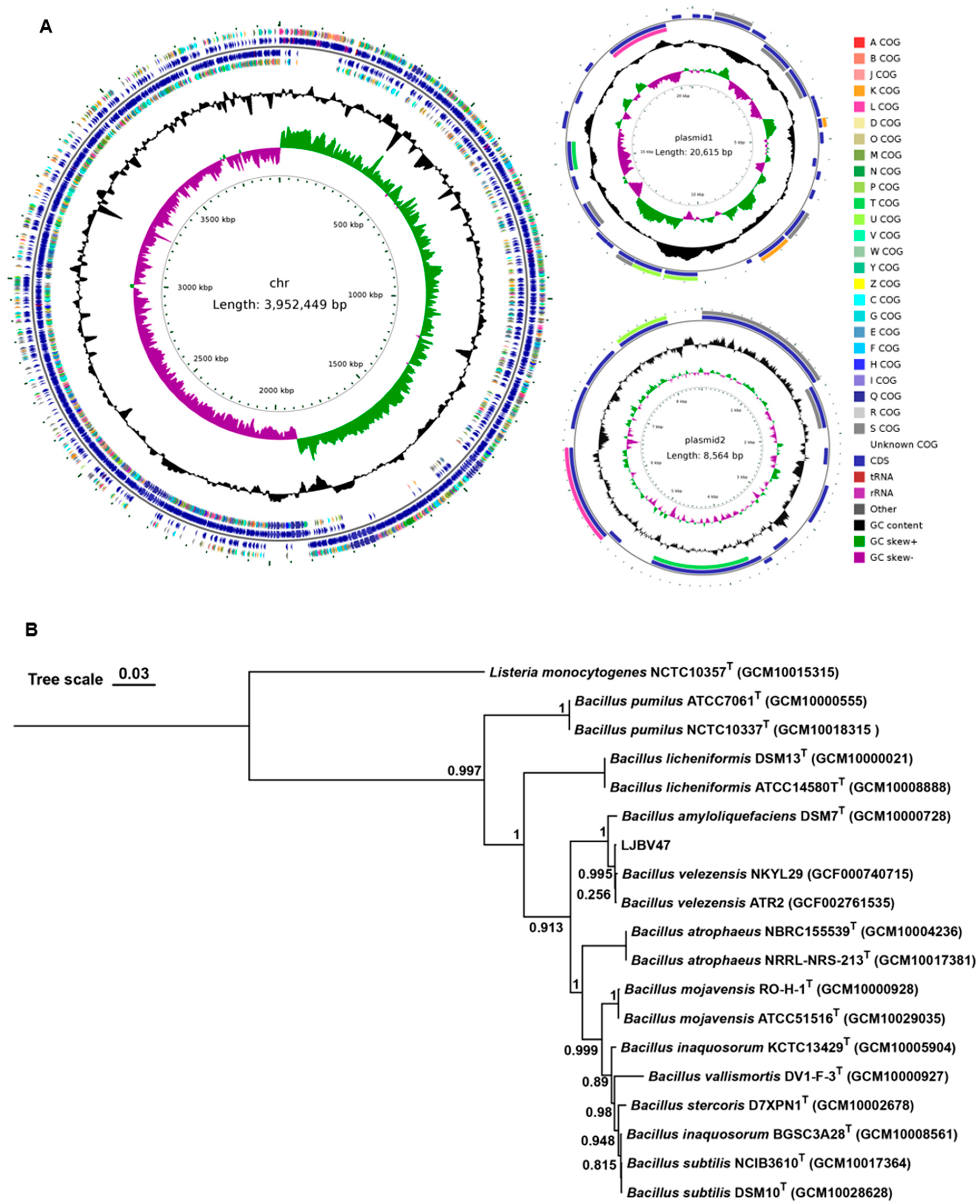 Horticulturae 11 00802 g004