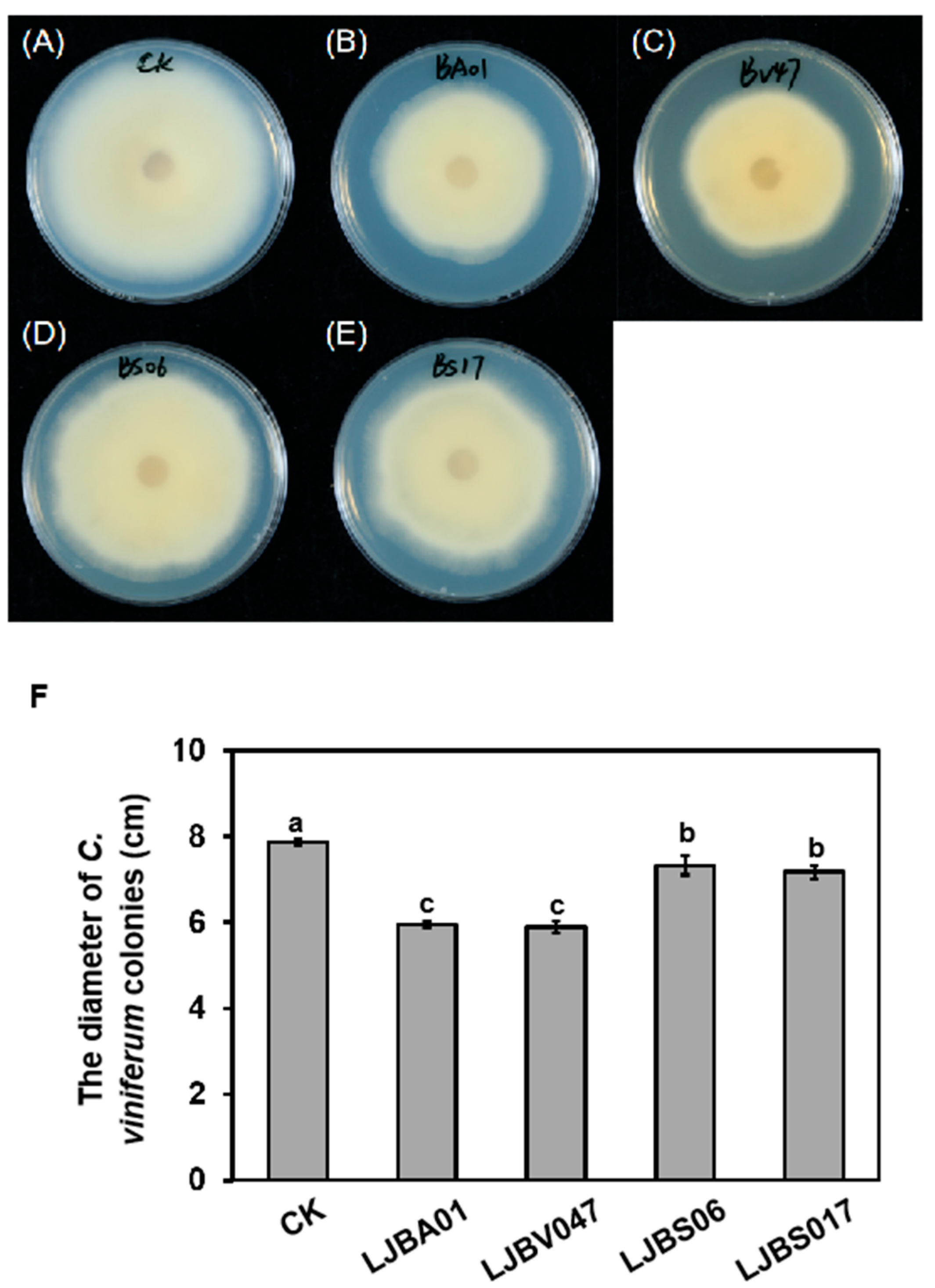 Horticulturae 11 00802 g005