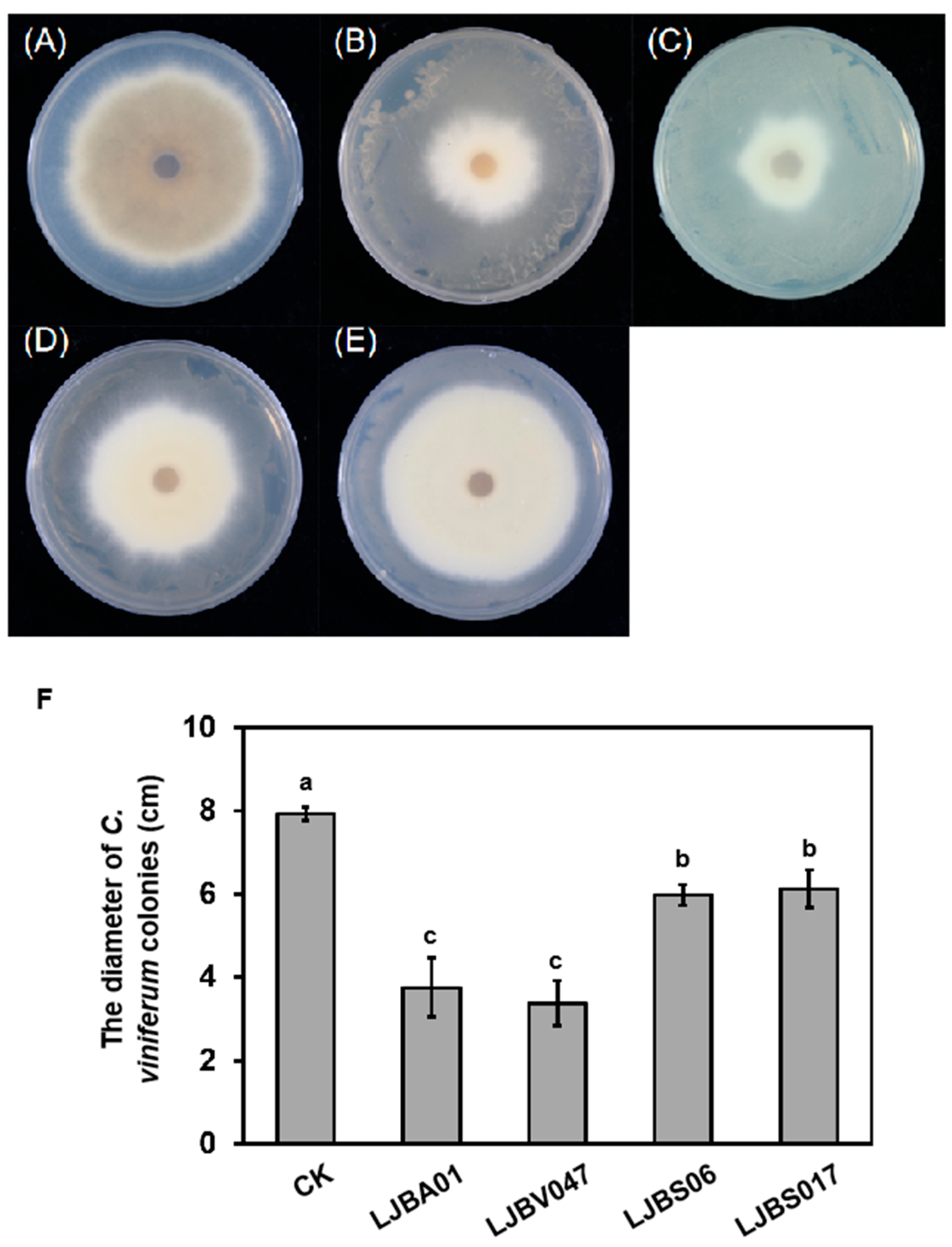Horticulturae 11 00802 g006