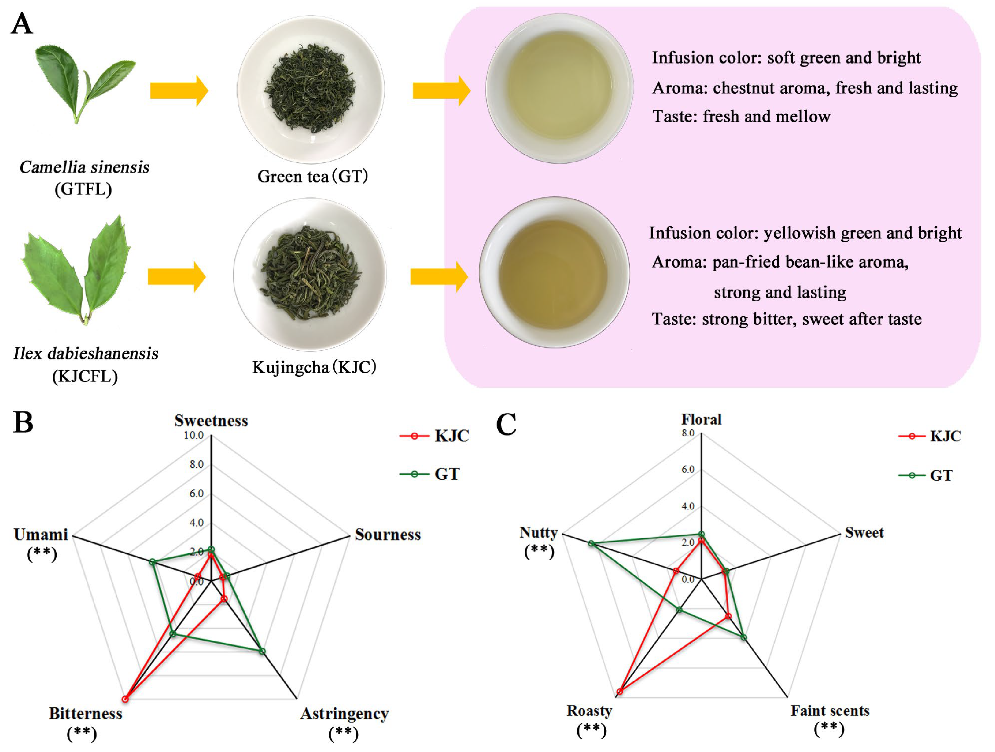 Horticulturae 11 00804 g001