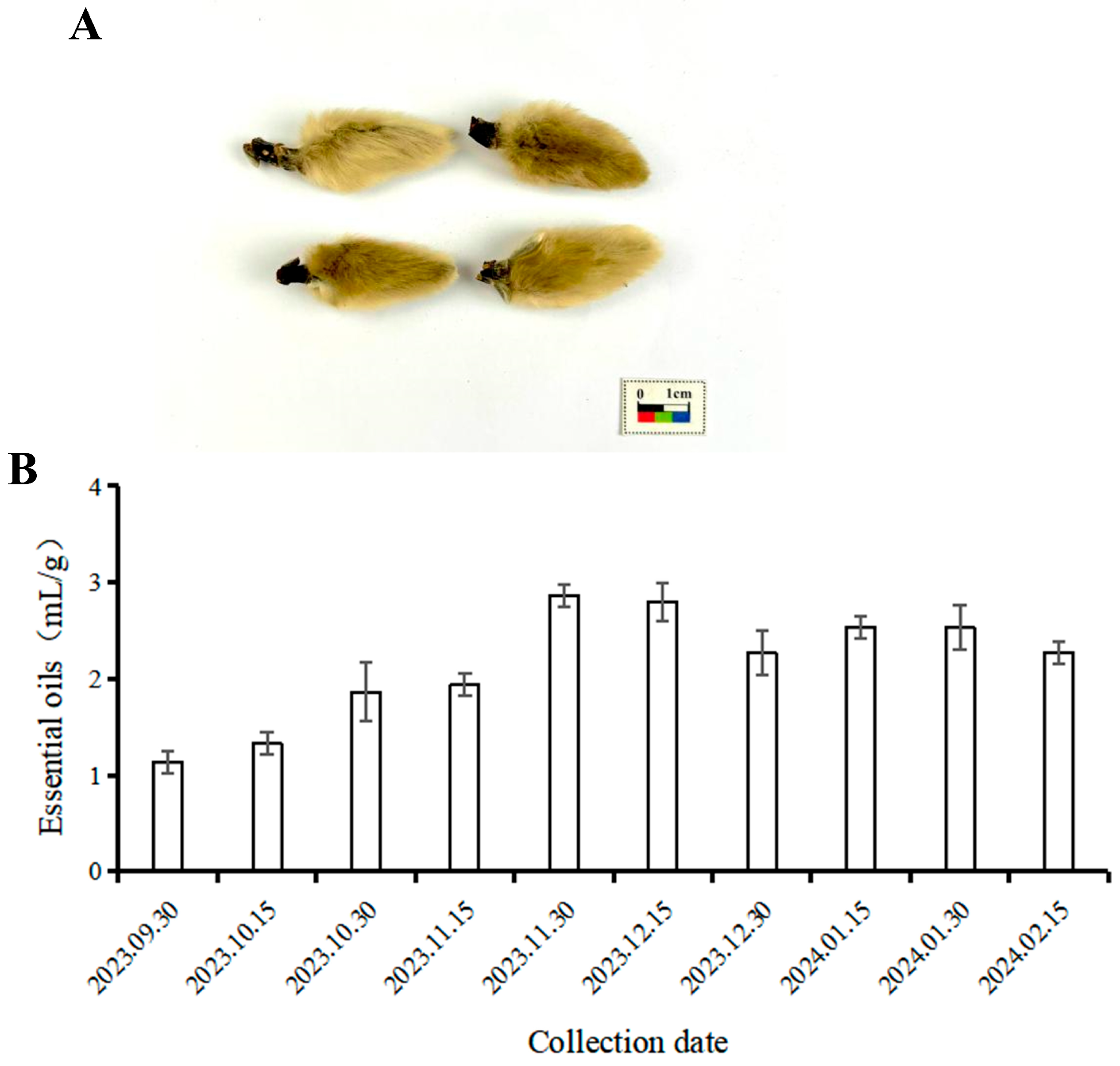 Horticulturae 11 00806 g001