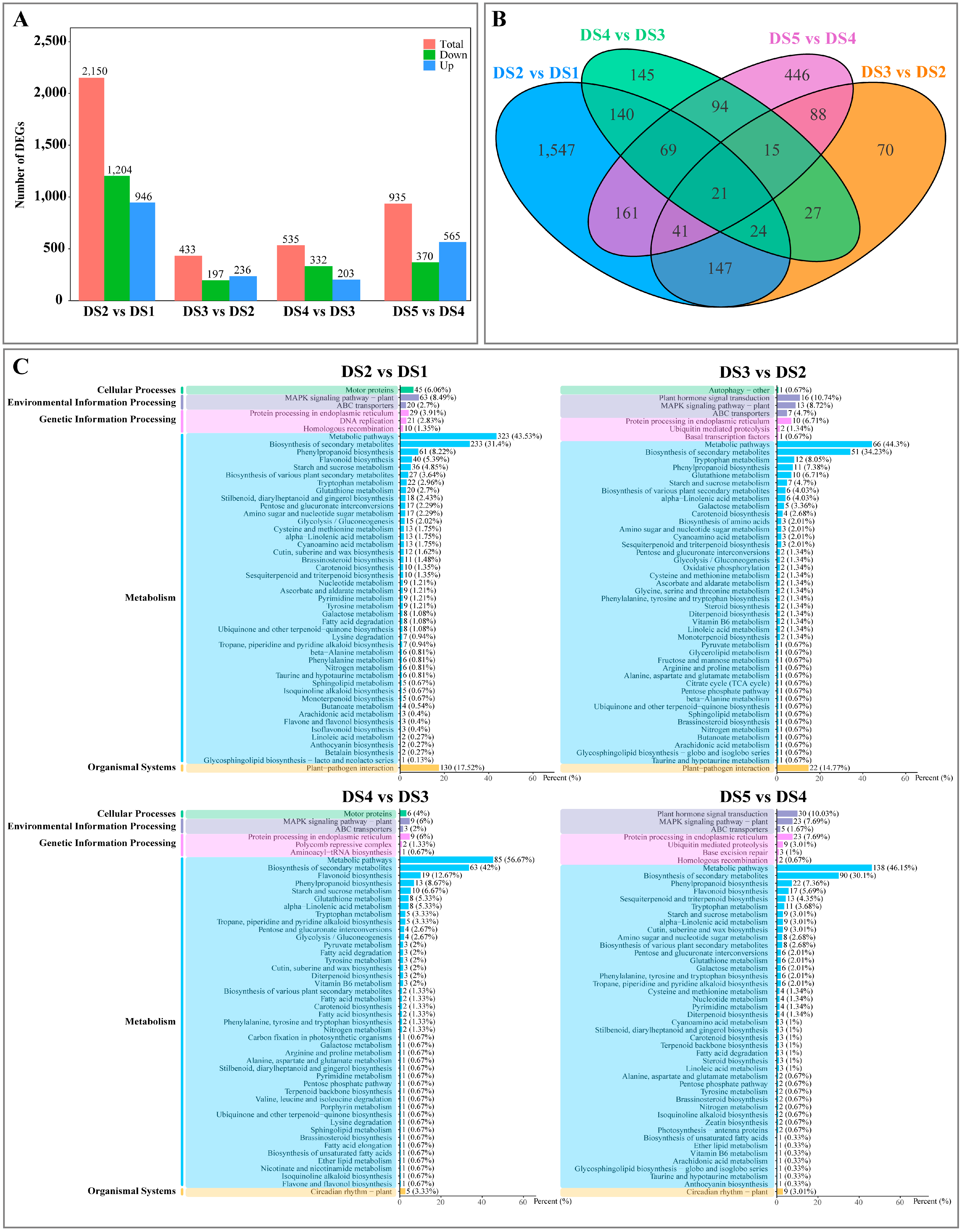 Horticulturae 11 00813 g002