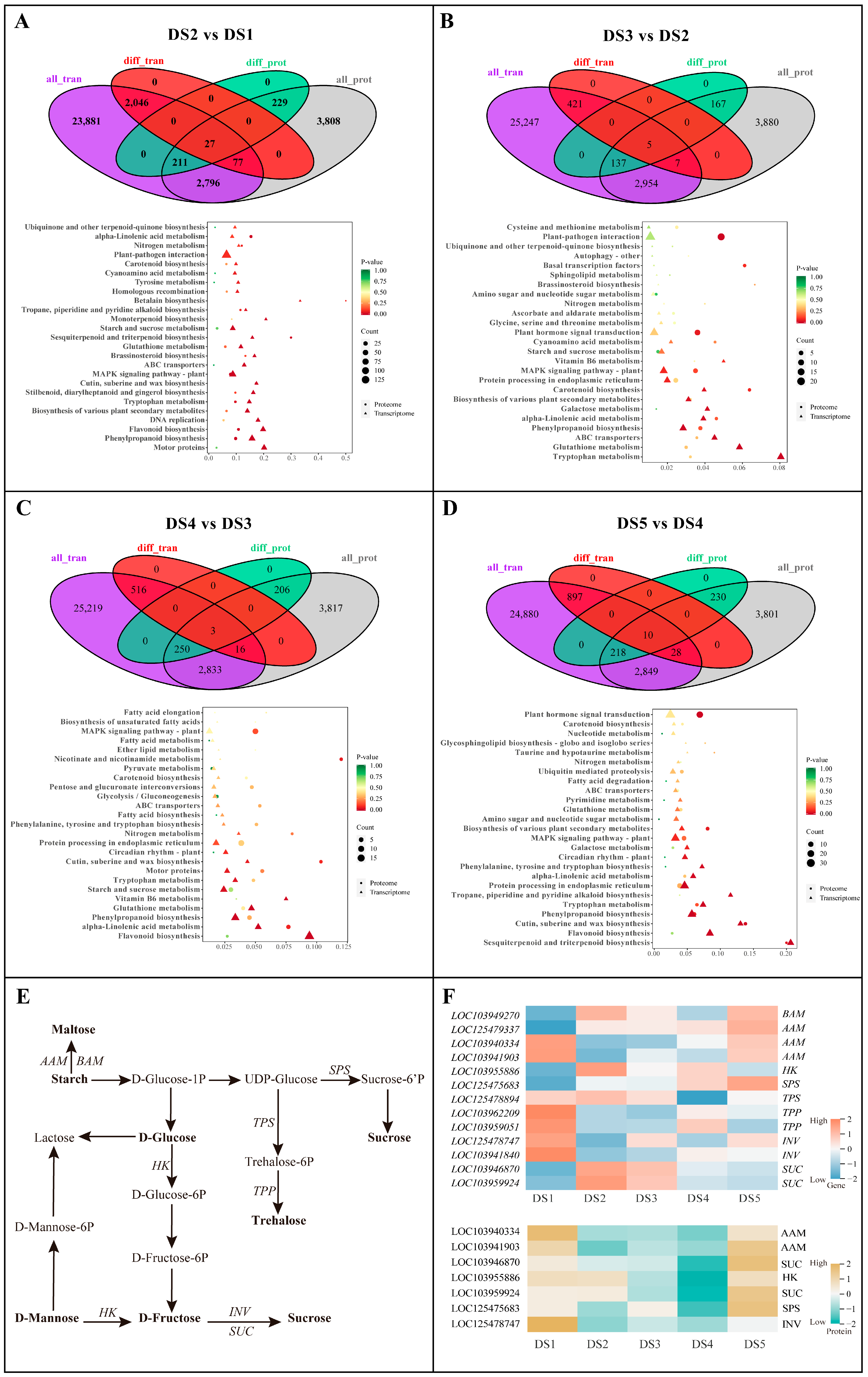 Horticulturae 11 00813 g004