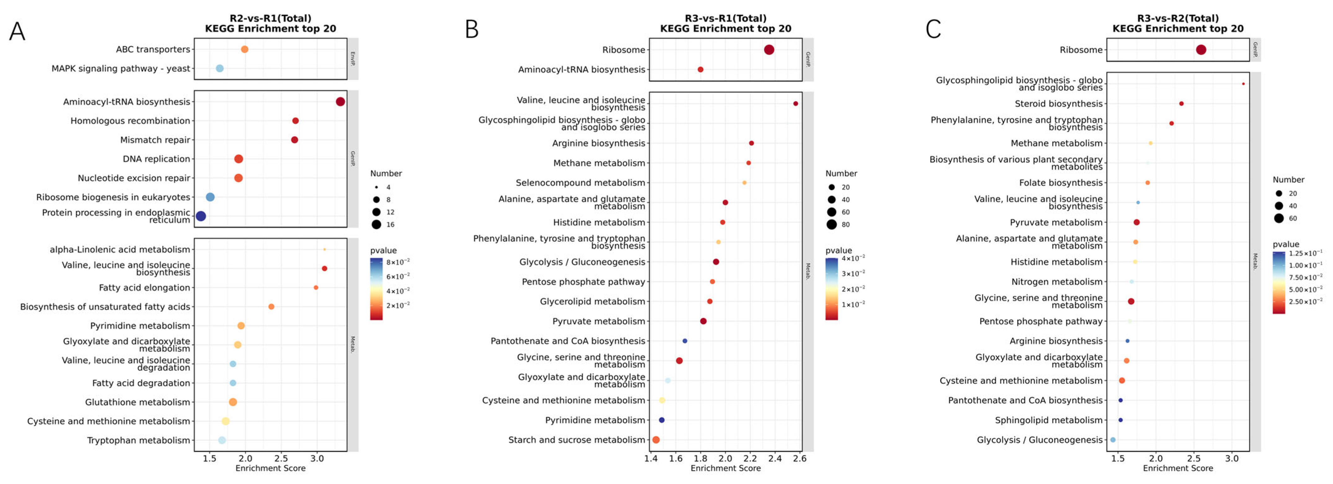 Horticulturae 11 00817 g004