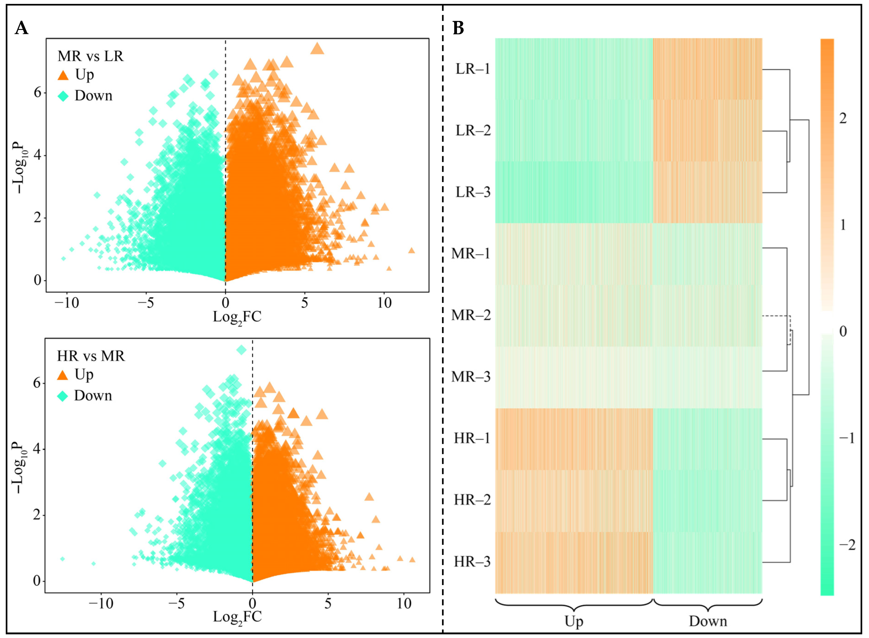 Horticulturae 11 00821 g003