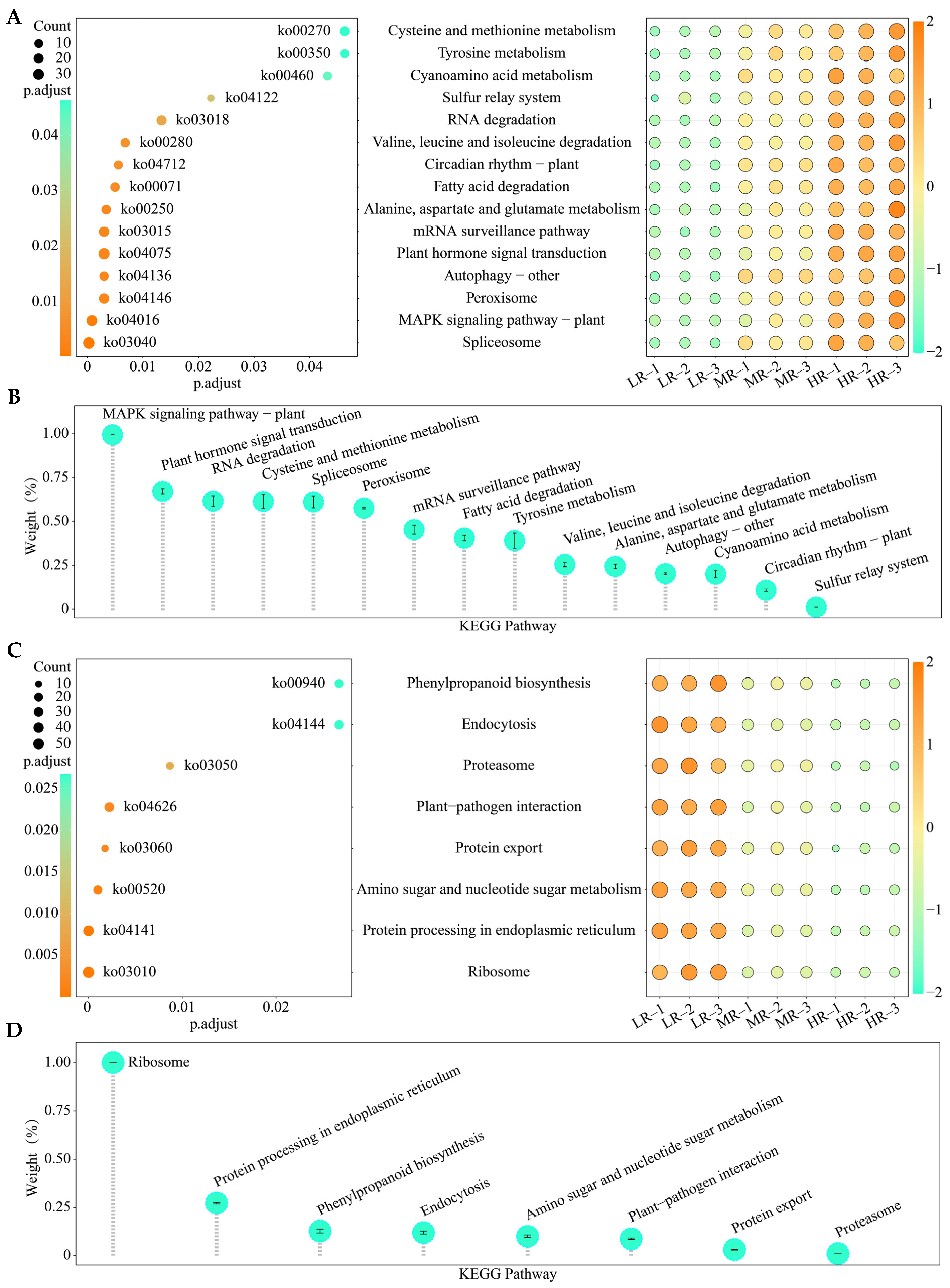 Horticulturae 11 00821 g005