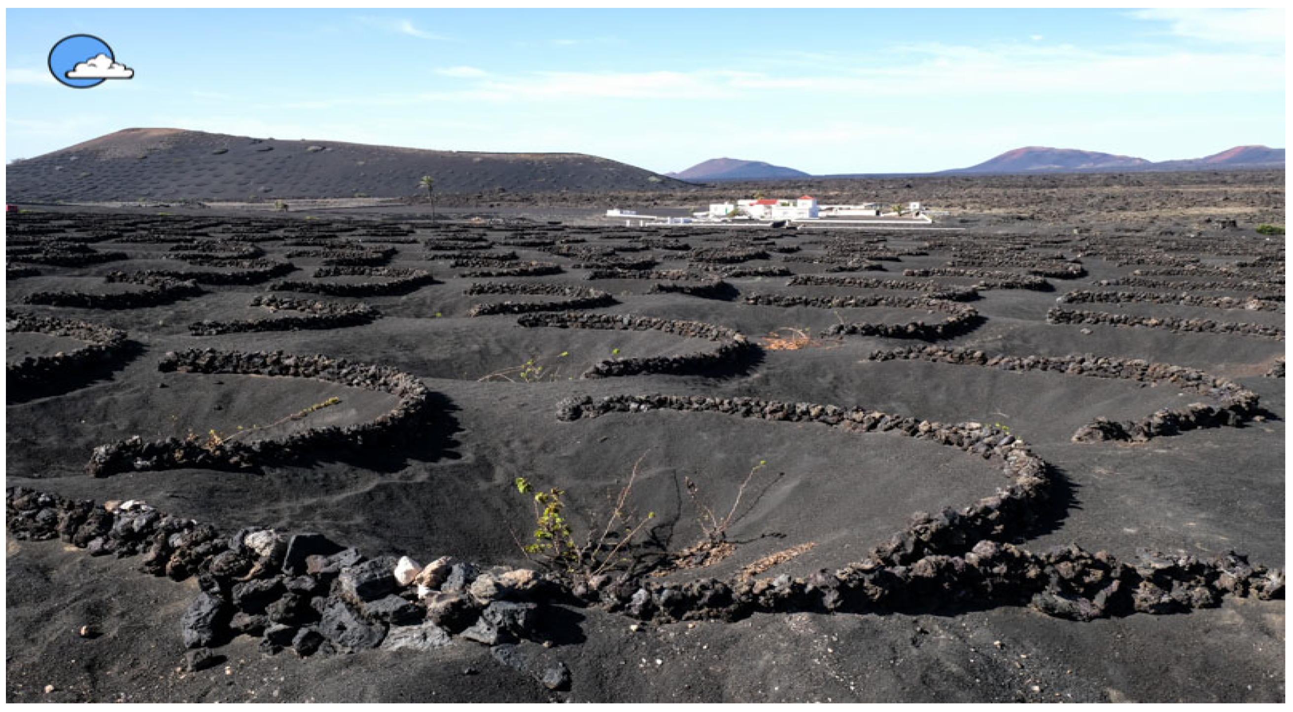 Horticulturae 11 00823 g002