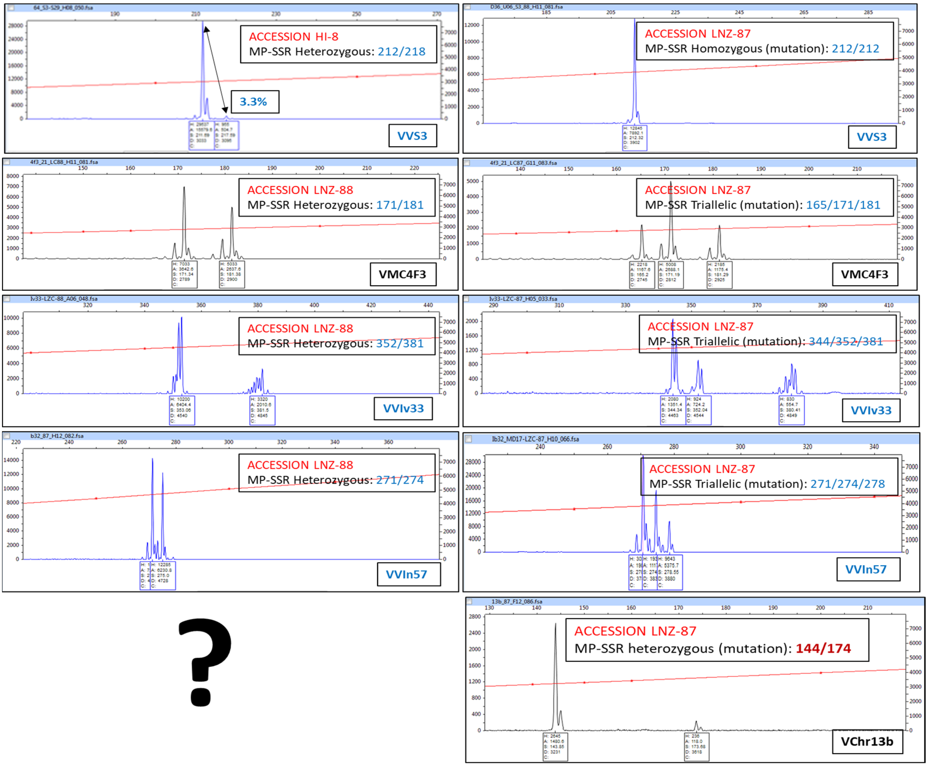 Horticulturae 11 00823 g004