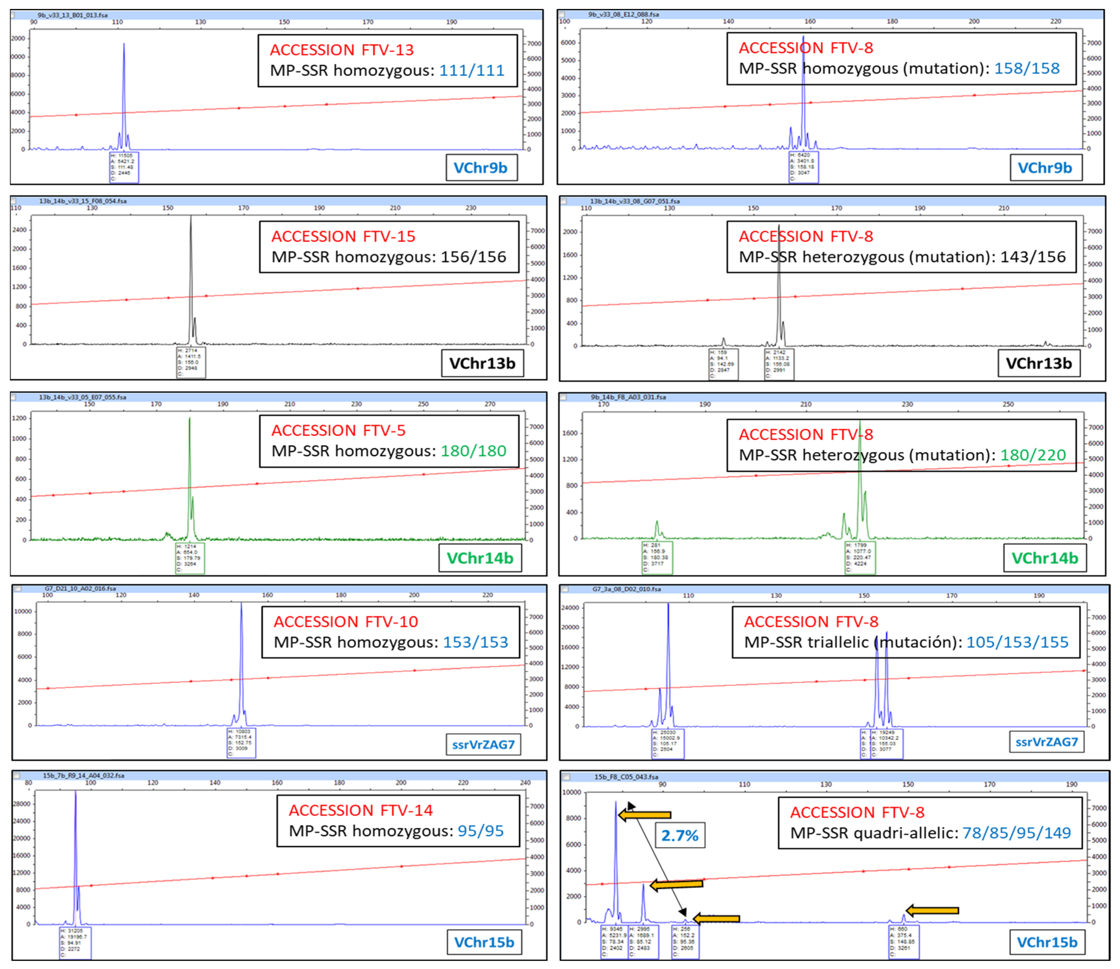 Horticulturae 11 00823 g005