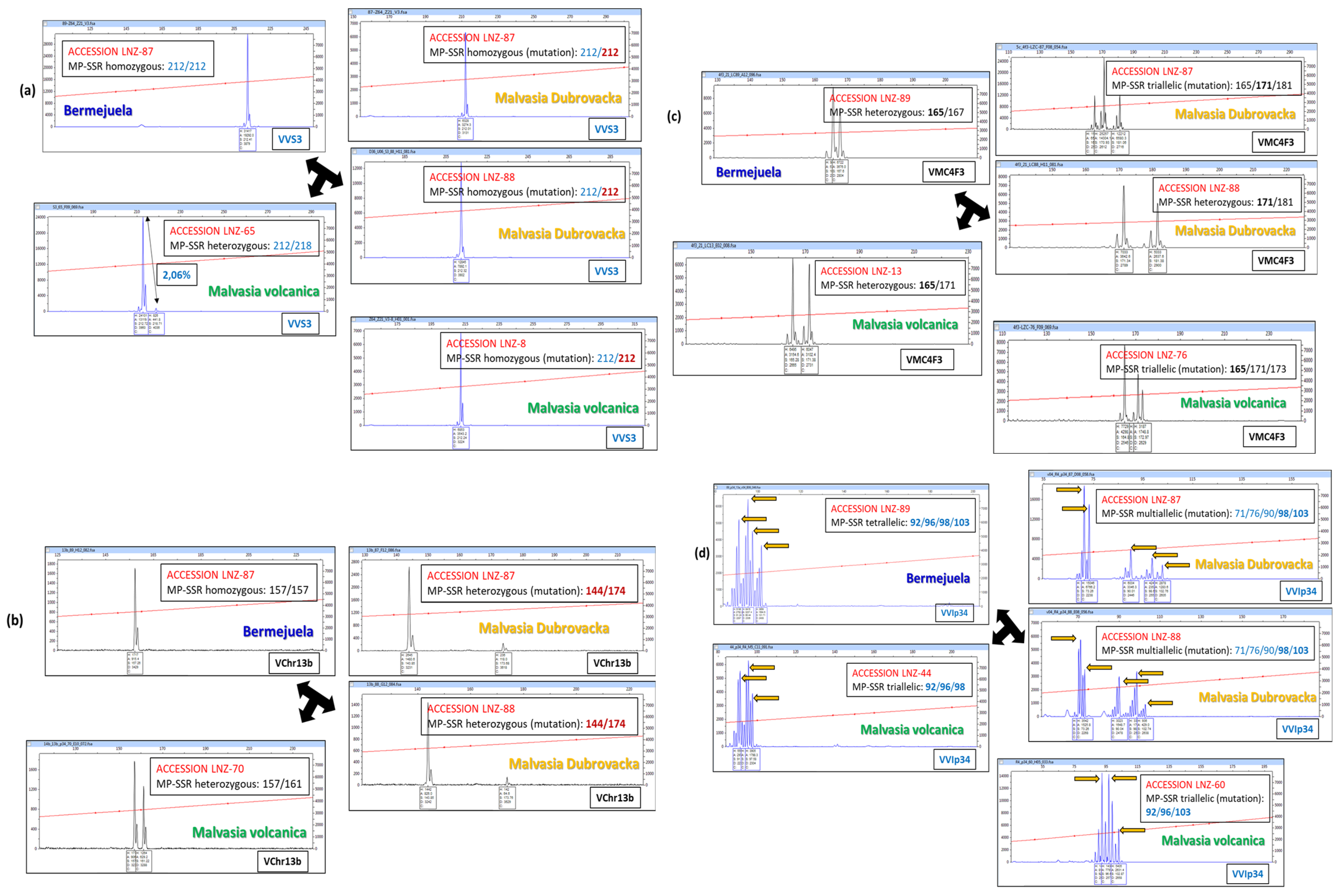 Horticulturae 11 00823 g006