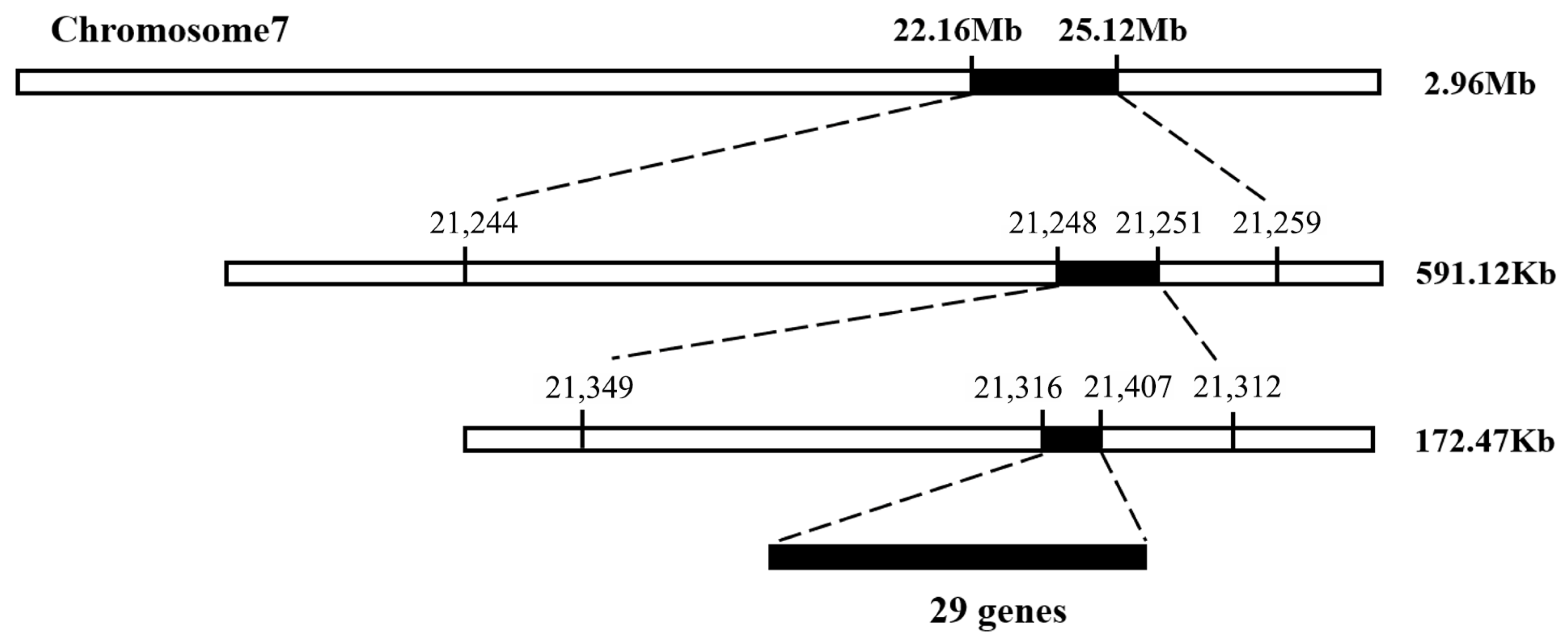Horticulturae 11 00824 g003