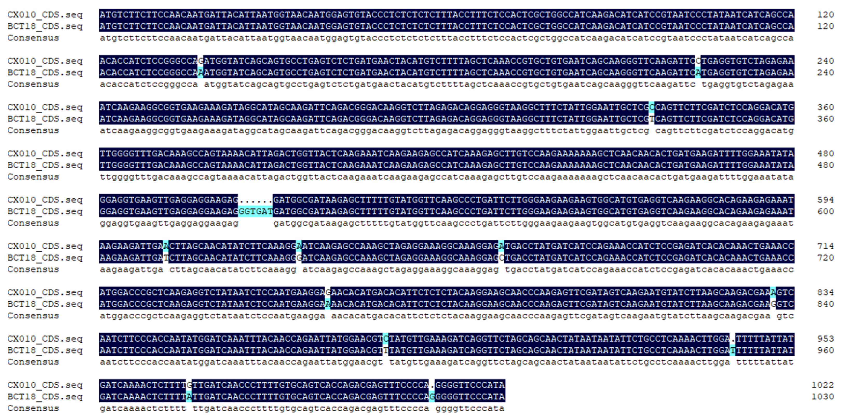 Horticulturae 11 00824 g004