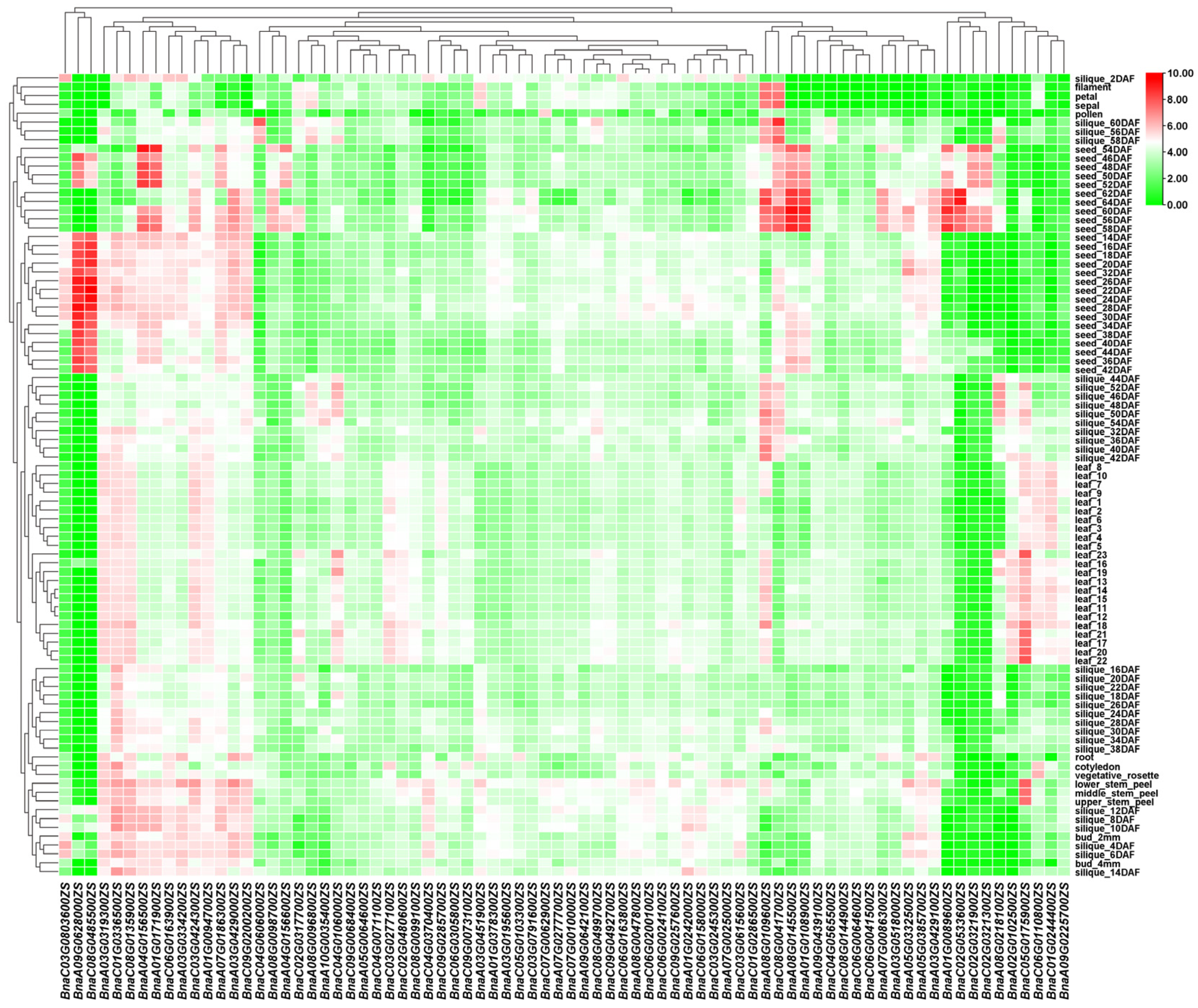 Horticulturae 11 00826 g006